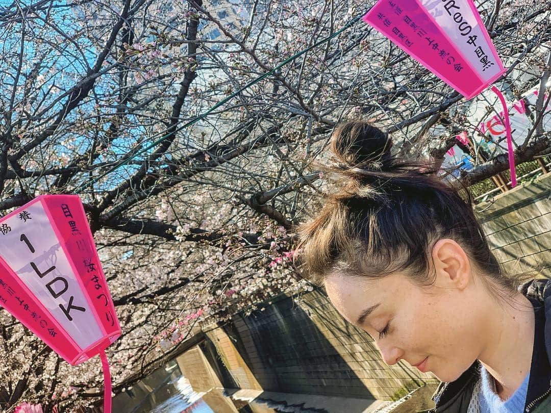 エミ・マイヤーのインスタグラム：「Beginning of cherry blossoms here in Tokyo🌸 桜シーズン🌸」