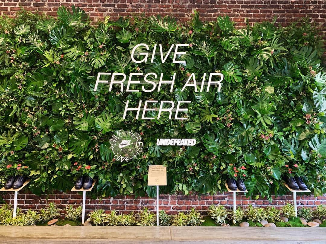 UNDFTDさんのインスタグラム写真 - (UNDFTDInstagram)「NIKE x UNDEFEATED Present: Give Fresh Air LA Pop-up on La Brea. Donate new or gently used sneakers, eat @kogibbq (Tuesday only) and participate in special workshops by @ronfinleyhq while supplies last.  11AM-5PM Sunday 11AM-5PM Monday  11AM-3PM Tuesday 112.5 S. La Brea Ave. Los Angeles, CA. 90036」3月25日 5時14分 - undefeatedinc