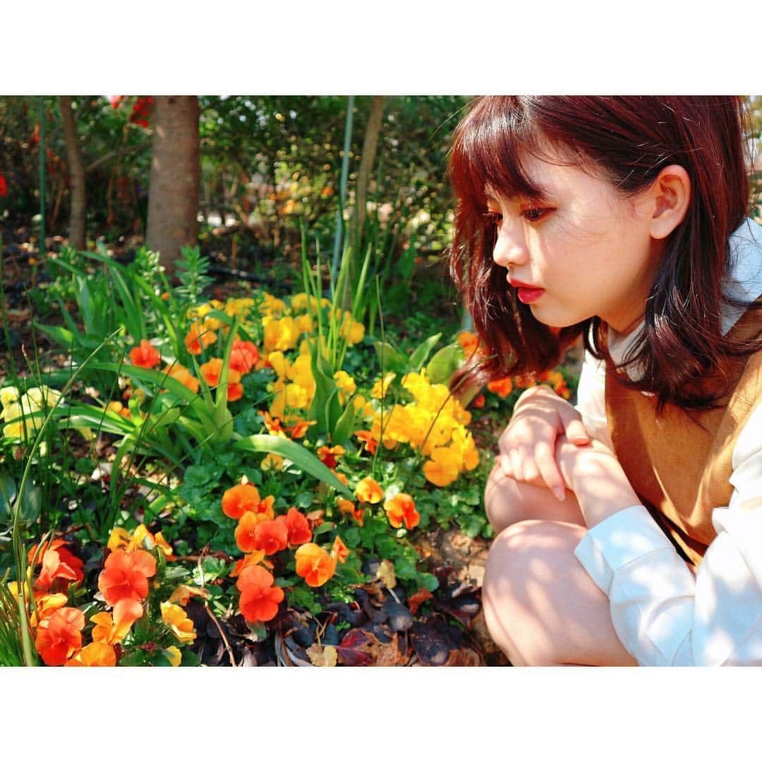 馬嘉伶さんのインスタグラム写真 - (馬嘉伶Instagram)「🍵 最近 綺麗なガーデンを発見🌼✨ 私の秘密基地にしました❤️ * * * * * * * * * * * * * 最近 發現了一個很漂亮的花園🌼✨ 把那邊當成秘密基地❤️」3月24日 21時52分 - macyacyarin