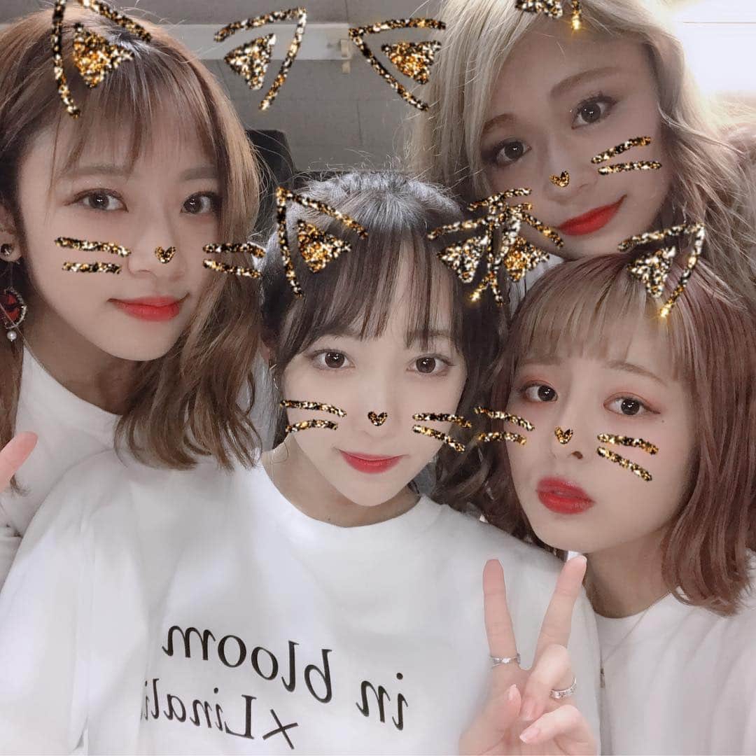 Caratのインスタグラム