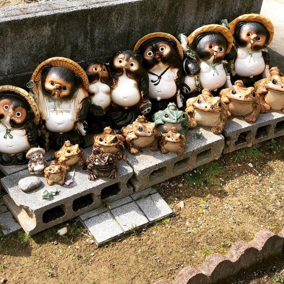 吉河美希のインスタグラム：「祖母の家の玄関前🐻🐸 いすぎでしょ」