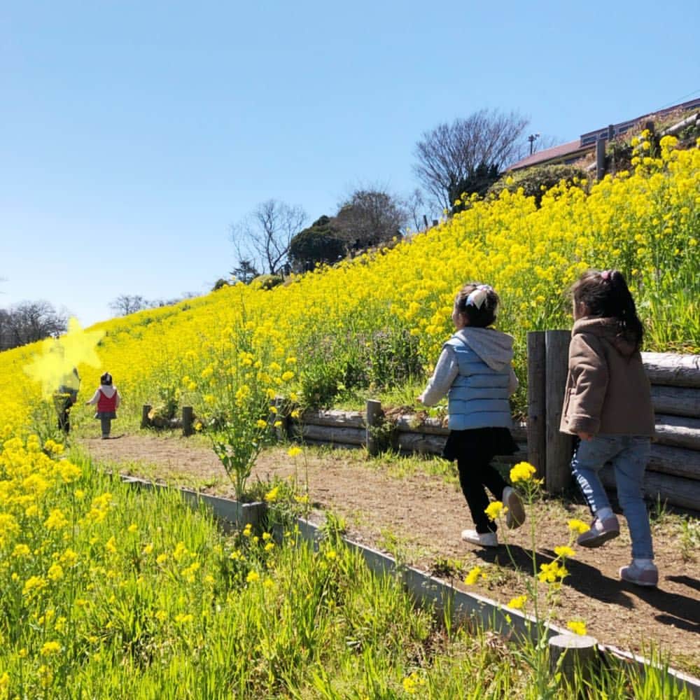 よっこのインスタグラム