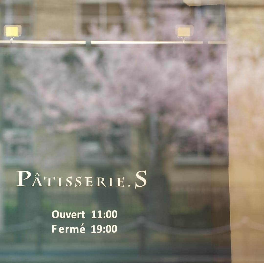 木本泉のグルメインスタ