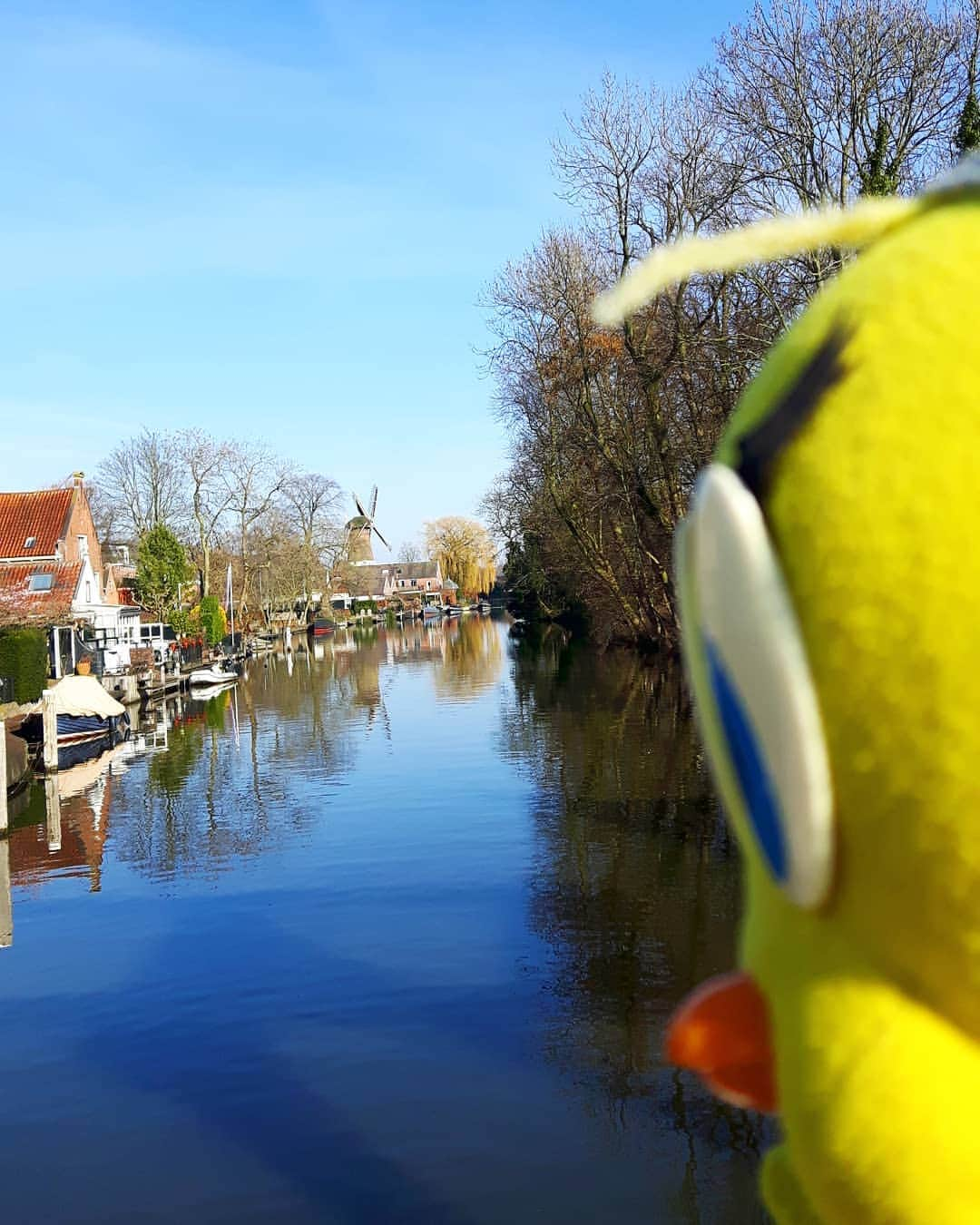 Little Yellow Birdさんのインスタグラム写真 - (Little Yellow BirdInstagram)「A nice sunny sunday to end the weekend!! #littleyellowbird #tweety #tweetykweelapis #adventures #yellow #bird #weekend #sunday #sunnyday #sunny #sun #loenenaandevecht #vecht #molendehoop #utrecht #river #riverview #bluesky #bluewater #stuffedanimalsofinstagram #plushiesofinstagram」3月24日 23時31分 - tweetykweelapis