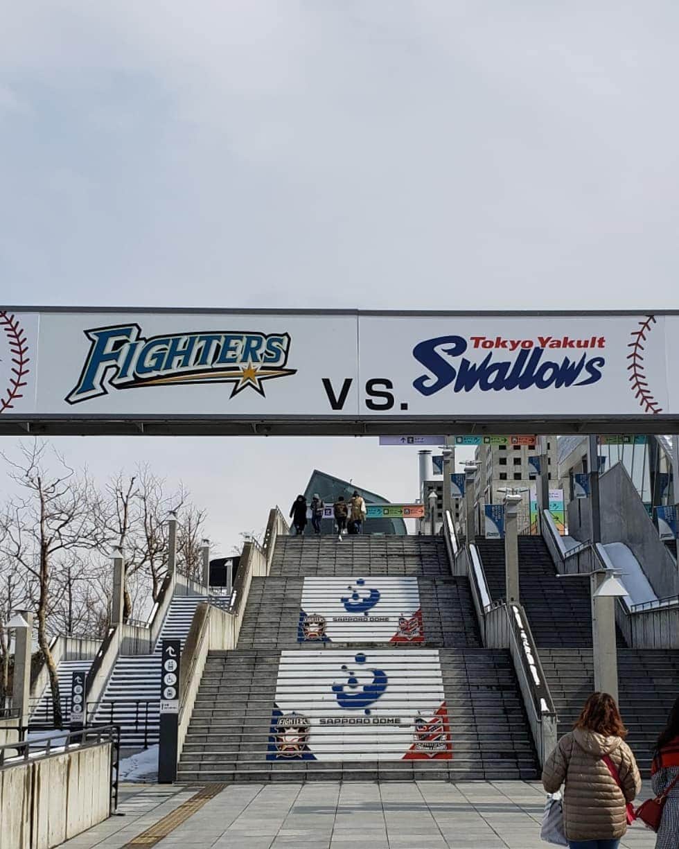 山本祐香さんのインスタグラム写真 - (山本祐香Instagram)「#fighters vs. #swallows  @札幌ドーム  2日間行ってきました。 ファイターズのキャップを衝動買い。 オープン戦終わったね～ いよいよ！  #npb#オープン戦#札幌ドーム#cap#newera#neweracap#baseball」3月24日 23時26分 - yuukayamamoto89