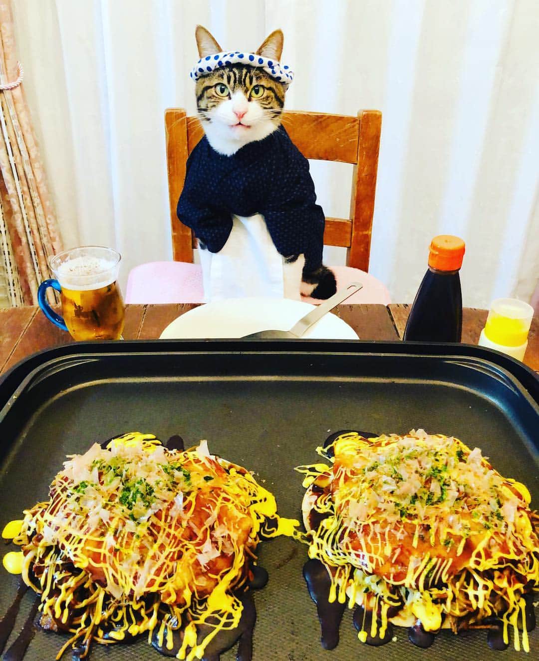 マロさんのインスタグラム写真 - (マロInstagram)「Hiroshima style Okonomiyaki (広島風お好み焼き) Okonomiyaki is Japanese-style pancake made from eggs, flour, water with many different toppings. We eat Japanese-style pancake with sweet and savory sauce similar to Worcestershire sauce. We have two styles of Japanese pancake such as Osaka style and Hiroshima style. In Osaka style, we scramble eggs, flour and many different toppings and fry on the pan. In Hiroshima style, each ingredient is piled up in order. Noodles are also sandwiched between them in Hiroshima style. ★ いつもコメントありがとうございます😸🙏💕 返信出来ない時が多くてすみません🙇‍♀️ 全て拝見しています🐾 ★ Thank you for your kind comments😸🙏💕 I'm sorry that I couldn't reply. ★ #cat#cats##catsofinstagram#😻 #japanesefood#okonomiyaki  #japaneseculture#food#chef #にゃんすたぐらむ#ねこ#猫#ネコ #ねこ部#ふわもこ部#みんねこ #お好み焼き#お好み焼きパーティー  #料理#猫との暮らし#キジトラ #キジトラ白#mannishboys」3月24日 23時27分 - rinne172