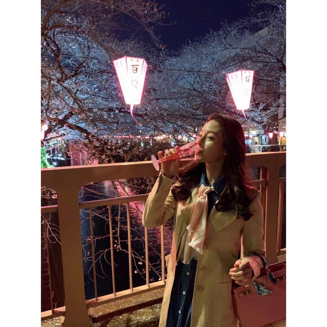 立花陽香さんのインスタグラム写真 - (立花陽香Instagram)「#目黒川 #桜祭り #桜 #cherryblossom 🌸」3月24日 23時29分 - haruka_4