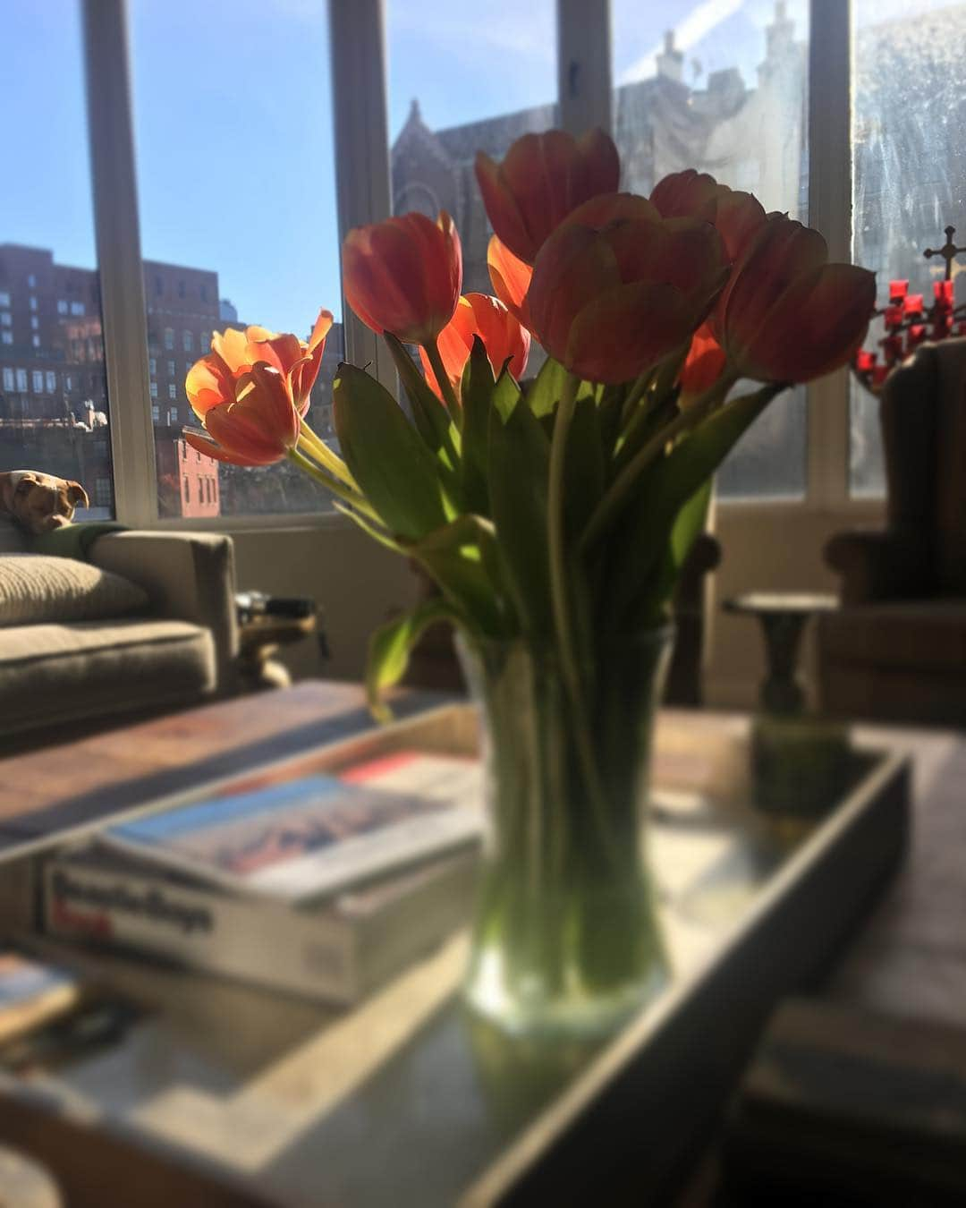 ナディア・ダジャニさんのインスタグラム写真 - (ナディア・ダジャニInstagram)「Good morning 🌞🌷」3月24日 23時35分 - caughtoffbase