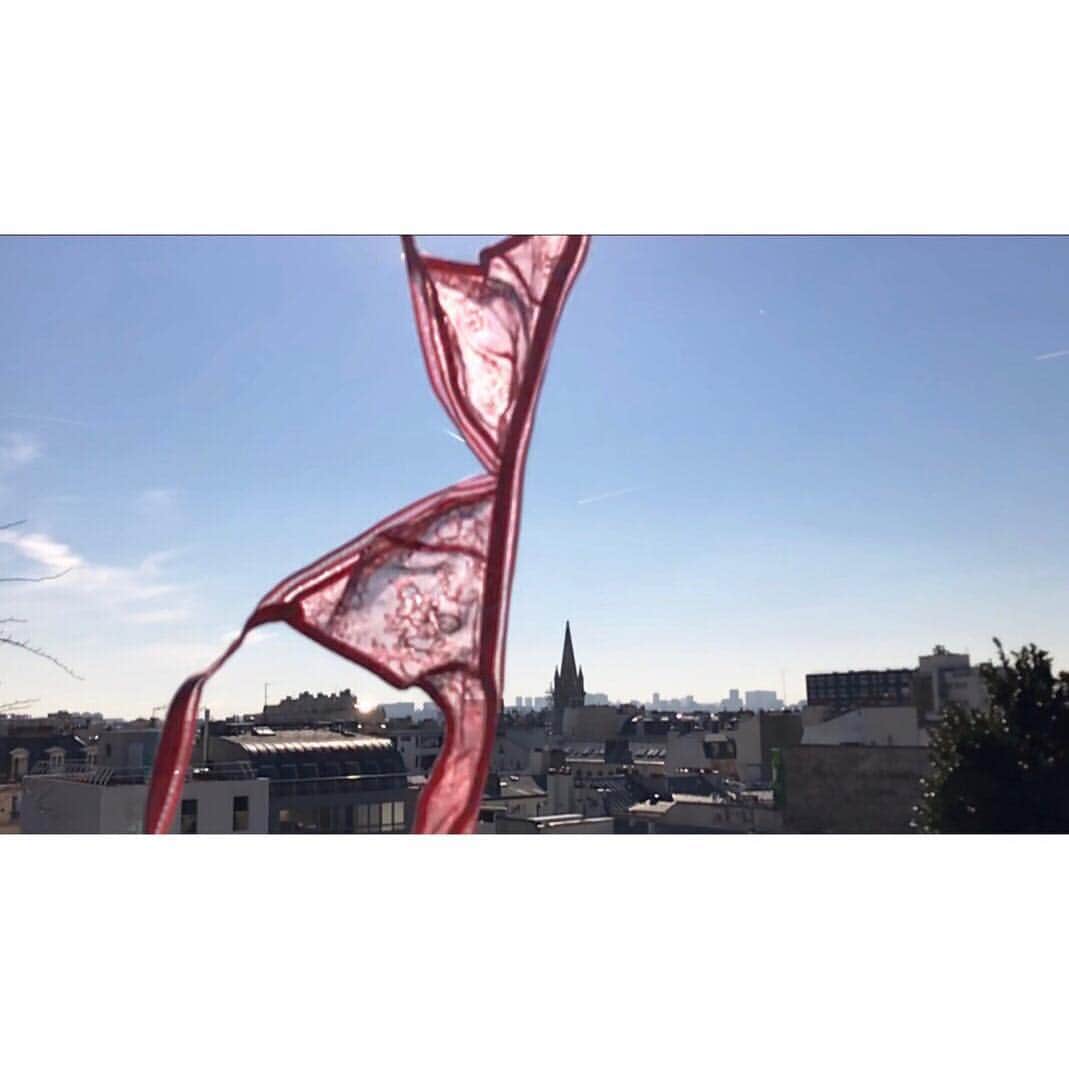 レジャビーのインスタグラム：「The lingerie flies away for our spring-summer 19 collection and our pink MISSLEJABY by @luciebourdeu ---- La lingerie s'envole pour notre collection printemps-été 2019 et notre MISSLEJABY rose par @luciebou2」