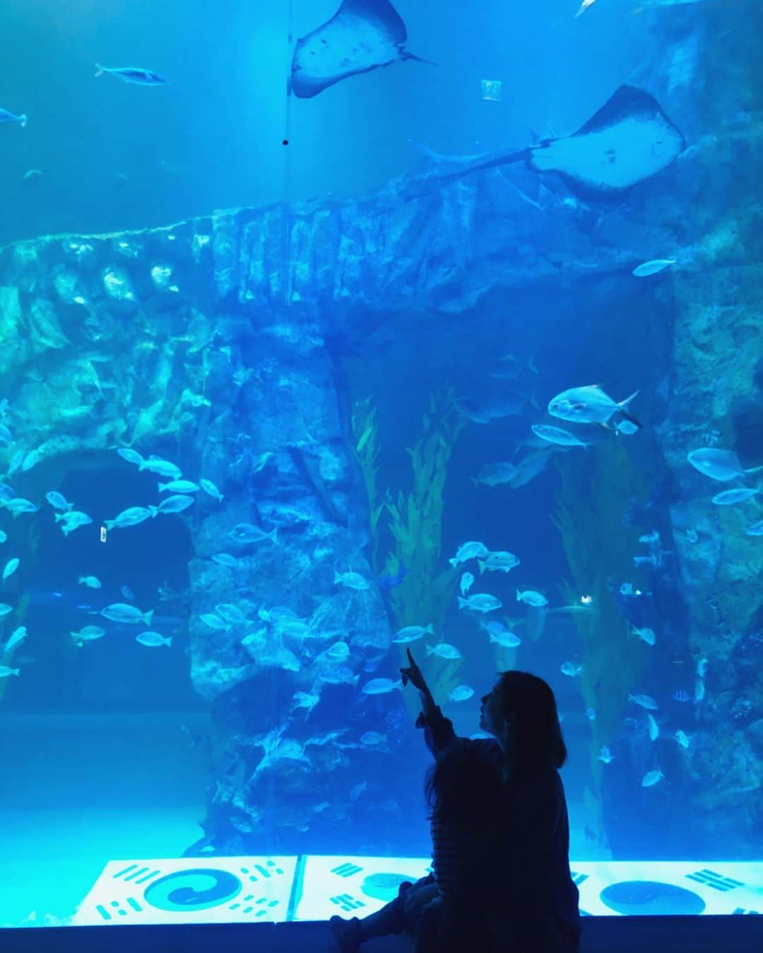 高木りなさんのインスタグラム写真 - (高木りなInstagram)「息子が好きなお魚さんを見にアクアリウムへ🐠🐬🐳✨ やんちゃ息子大興奮でした🤩 아들이 좋아하는 물고기 보러 아쿠아리움으로🐠✨ 에너지 넘치는 아들은 대흥분! 난리난리🤣💦 #먹는건생선 #보는건물고기 오늘은 알게됬다...🤦🏻‍♀️🤦🏻‍♀️🤦🏻‍♀️ ... ... ... #육아 #육아스타그램 #엄마와아들 #아들맘 #육아맘 #육아일기 #26개월아기 #水族館 #男の子ママ #ママライフ #ママと息子 #育児 #育児日記 #育児記録 #子育て #男の子 #2歳 #아쿠아리움 #mom #motherhood #motherandson #babyboy」3月24日 23時53分 - rinasvoyage