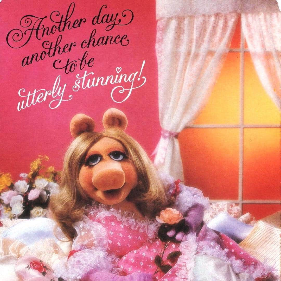 ケイト・ウォルシュさんのインスタグラム写真 - (ケイト・ウォルシュInstagram)「Ummm WOW! Never knew #MissPiggy was total aesthetic goals! 🤣 Love this @Girlboss. 💋 #SundayVibes #Mood」3月25日 0時13分 - katewalsh