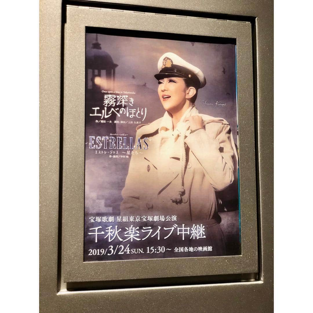 織田千穂さんのインスタグラム写真 - (織田千穂Instagram)「今日は宝塚星組公演✩°̥࿐୨୧ 霧深きエルベのほとり/ESTRELLAS星たち 千秋楽ライビュに行って参りました‼️✨ * 感無量でございます。( -᷄ω-᷅ ) 色んな感情が入り乱れ過ぎて複雑🤦🏻‍♀️ 1幕のエルベ… ハッピーエンドではなかったけど カールの秘めている優しさと純粋な愛 さゆみさんの熱演でとっても伝わった💗 こっちゃん演じるフロリアンが… 本当に良い奴過ぎて…惚れてまうやろー‼️ って感じでしたw こっちゃんの演技もお歌も ダンスのキレの良さも改めて素敵過ぎ😭❤️ * 連日スカステで📺 ひろきのお兄様特集をしていて 相当昔からプレイバックして全部見たので 何だか成長を見届けた親の様な気持ちになって (ヾ(°∇°;) ｵｲｵｲ) かいちゃんが出てきた瞬間にｳﾙｳﾙ…w 気のせいか…かいちゃんもさゆみさんも 何だか終始涙目に見えて(´;ω;`) もらいｳﾙｳﾙw 毎回そうですが お芝居の演出もレビューの歌詞も 退団者の方と重なる箇所が多々あり ついつい感情持っていかれてしまいます💦 * オリバーの「トビアス大好き💗」のアドリブに 幸せな気持ちになり…💜 そして所々に大笑いさせてくれる お芝居やアドリブに さすが星組～‼️➳✩⡱➳✩⡱と感心💗 1人観劇してるにも関わらず… 思わず声出して笑っちゃった🤣 * 2幕幕開け…さゆみさんソロスタート🎤 一瞬…あれ⁉️ライビュ会場の音声さんが ボリュームミスをしてるのかと💦 1幕はいつも通りのさゆみさんだったので もしかして…幕間に感極まって 号泣しちゃったのかなぁと思ってたら… 歌の間にアドリブで声本当にごめんなさい🙏と 笑いに変えていて…さすがさゆみさん💕 1幕ラストの方で喉潰してしまったみたいで ショーで声が出ない分、組子さん達の それを支えようとする表情やパワーに 組の愛と強い絆が とっても浮き彫りになっていて… それにまた感動っ✨⁝(ᵒ̴̶̷᷄⌑ ᵒ̴̶̷᷅ )⁝ * ピンチこそチャンスってこういう事か…とw さゆみさんの等身大のお人柄がとても 顕著に現れていました😌💓 泣いたり笑ったりと忙しかったけど 何だかとっても温かい充実した気持ちになる 素敵な千秋楽でした( ˙꒳​˙ )!!¨̮⑅* * 退団者の皆様ご卒業🌸🏫🎓 星組の皆様、千秋楽おめでとうございました‼️ そして現在スカステで📺 ひろきお兄様のディナーショーDearestを 見ながら余韻に浸り中… ✼••┈┈┈┈┈┈┈┈┈┈┈┈┈┈┈┈••✼ #霧深きエルベのほとり #ESTRELLAS星たち #TOHOシネマズ錦糸町 #宝塚 #musical #観劇 #takarazuka #宝塚歌劇団 #星組公演 #宝塚好きな人と繋がりたい #千秋楽 #ミュージカル #楽天地 #ライブビューイング #宝塚歌劇団星組 #l4l #紅ゆずる #礼真琴 #七海ひろき #瀬央ゆりあ #紫藤りゅう #天飛華音 #タカラジェンヌ#宝塚好き #宝塚大好き #幸せな時間 #ヅカスタグラム #ヅカ友 #ヅカファン #織田千穂の宝塚投稿記録 @queen.lupis ピアス(v0173) ✼••┈┈┈┈┈┈┈┈┈┈┈┈┈┈┈┈••✼」3月25日 1時04分 - chihoda