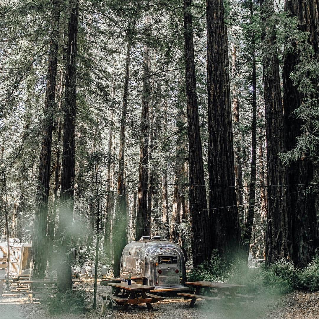 motherdenimさんのインスタグラム写真 - (motherdenimInstagram)「Going Green ✅📍Big Sur, California | Via @ellefr @juliadionelle @ventanabigsur 📸 @lucylaucht」3月25日 1時14分 - motherdenim