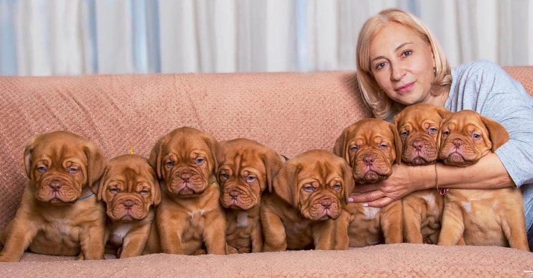 イヴァン・リギーニさんのインスタグラム写真 - (イヴァン・リギーニInstagram)「Сегодня День Рождения у самого дорого для меня,в этом мире человека - у моей мамы❤ ⠀ Мамуль, я очень благодарен тебе за то, что ты для меня сделала,через что прошла чтобы я добился результатов в своей жизни,через что до сих пор проходишь,благодарен что посвятила много своего времени🙏🏽 Самая умная и красивая на всём белом свете☺  Помню, как однажды когда я был маленьким,на каком-то концерте,не помню точно где (я тогда ходил ещё под стол пешком😂)пела девушка и подозвала меня к себе,она спросила «сколько у тебя сердец?» я ответил «два!, одно мое и одно моей мамы»❤ Буду всегда твоей поддержкой и опорой и буду стараться делать тебя счастливой!  Хочу пожелать тебе здоровья безграничного и счастья, чтобы все мечты сбывались, и я буду помогать тебе их исполнять, чтобы улыбка всегда освещала твой путь!  Я тебя очень очень сильно люблю!  С Днём Рождения мамуль🎁🎁🎁 С Юбилеем🙏🏽 ▪▫▪▫▪ #happybirthdaymom #happybirthday  #mysoul #family #gypsykingsmom #55」3月25日 1時45分 - ivanrighini