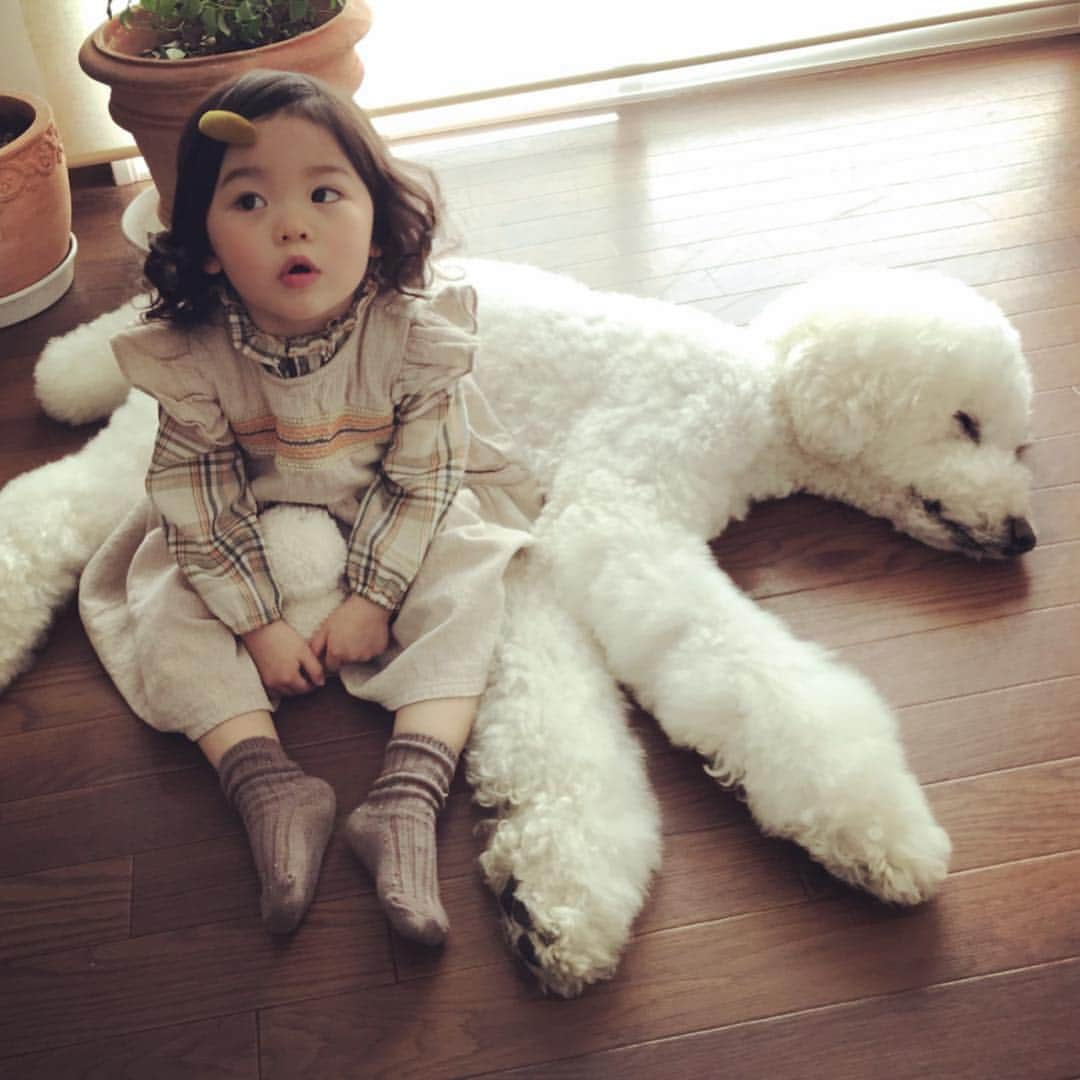 たまねぎさんのインスタグラム写真 - (たまねぎInstagram)「. . まめちゃん、りっくんとどんなおしゃべりしてるのかな？ . ブログ 「くろしろまめむぎ」に日々のこと書いてます。よかったら見てね(o^^o) . . まめちゃんのお洋服  @reve_baby_kids さん . #standardpoodle #dog #lovedogs #poodlesofinstagram #スタンダードプードル #大型犬と子供 #poodle #dogstagram #east_dog_japan #いぬのいる生活 #もふもふ部 #わんこ部 #赤ちゃんと犬  #babyanddog #ママリ #キズナ #コドモノ #いこーよ #いぬのきもち #犬と暮らす #いぬなしでは生きていけません #2歳 #仲良し #ナチュラルなこども服」3月25日 2時41分 - tamanegi.qoo.riku