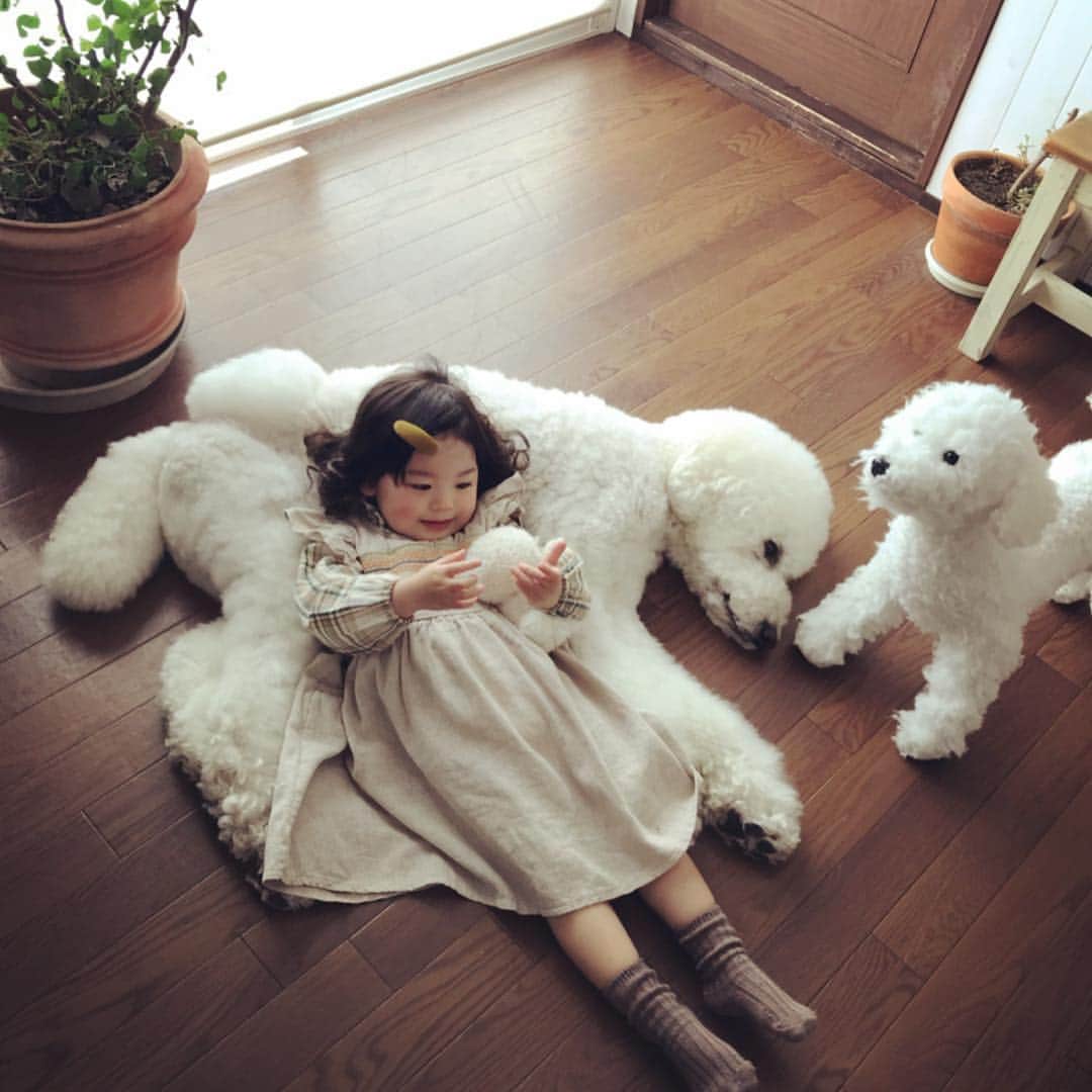 たまねぎのインスタグラム