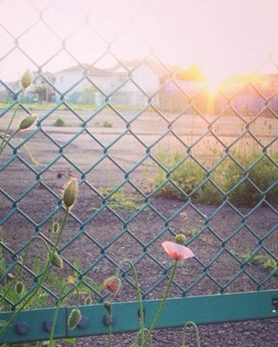 井上侑さんのインスタグラム写真 - (井上侑Instagram)「どんどん小さくならないで 膨らませて ワクワクさせて じぶんを  #sunset #オレンジ #あの日見た夕日」3月25日 2時55分 - yuinouehappy