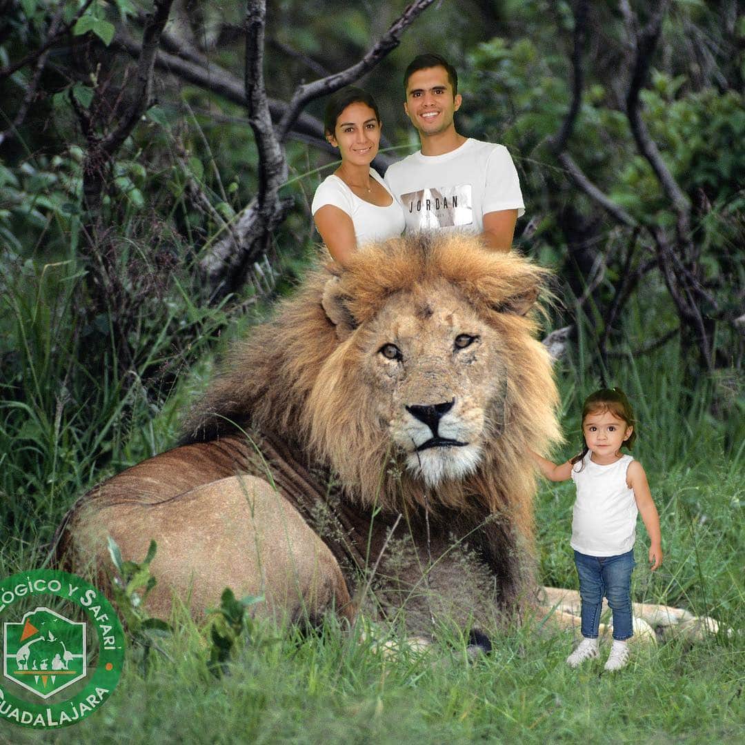 イヴァン・ガルシアさんのインスタグラム写真 - (イヴァン・ガルシアInstagram)「❤️❤️ Domingo de zoológico con mi Reyna y mi princesa @paolaespinosaof #ivana 🦓🦒🦁」3月25日 3時26分 - ivangarciapollo