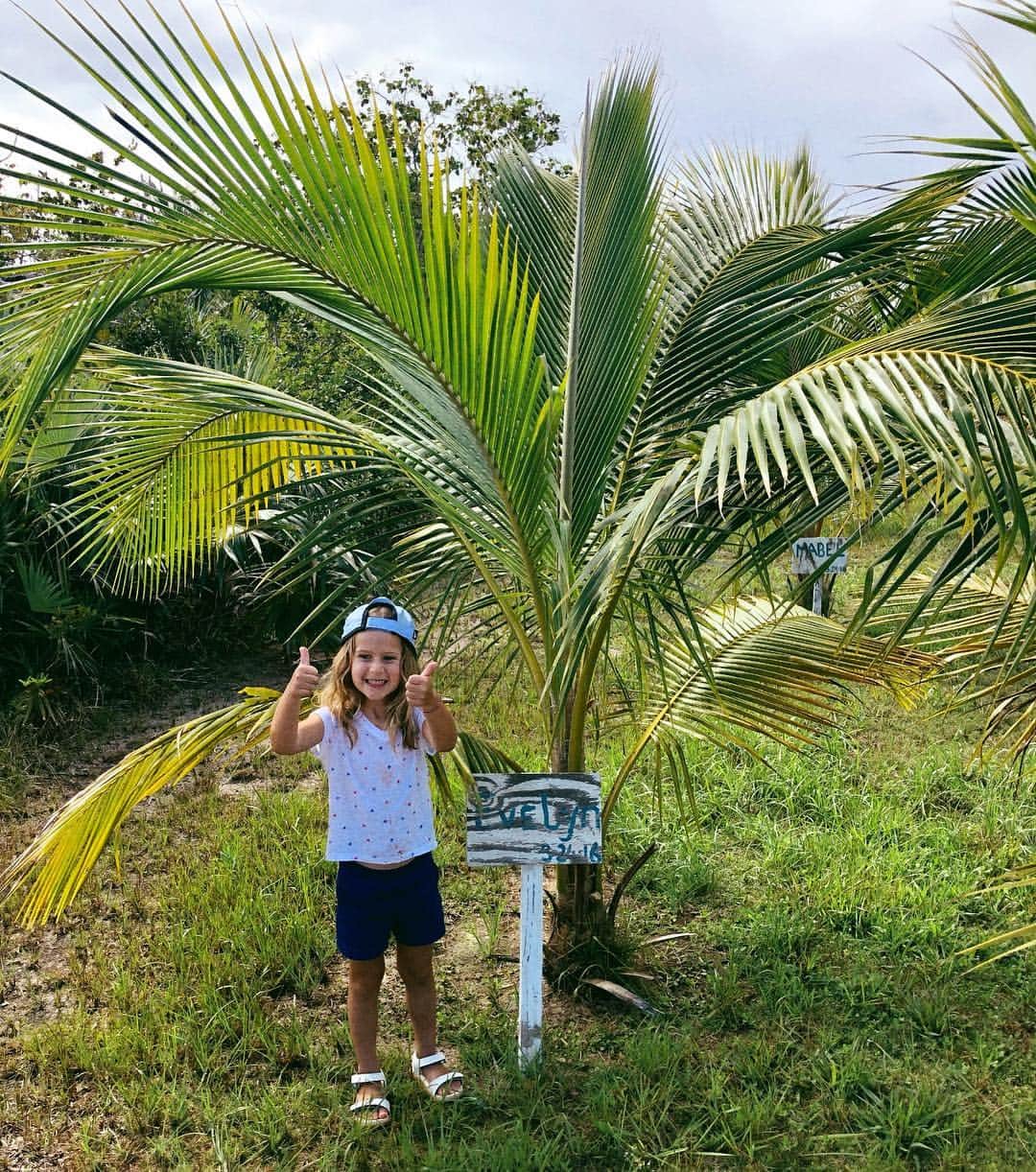 エマ・ヘミングさんのインスタグラム写真 - (エマ・ヘミングInstagram)「Evelyn planted this coconut tree three years ago today! Lookin good! 🌴🥥👍🏽 #thumbsup #cocobabamom @cocobabaofficial」3月25日 4時38分 - emmahemingwillis
