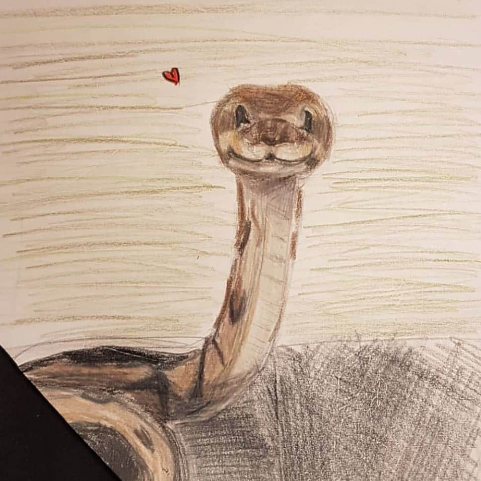 マイク・ダーントさんのインスタグラム写真 - (マイク・ダーントInstagram)「Pretty sure @always_drawingfan turned me into a snake!  #what should we name the snake that lives near our house?」4月9日 0時31分 - mikedirnt