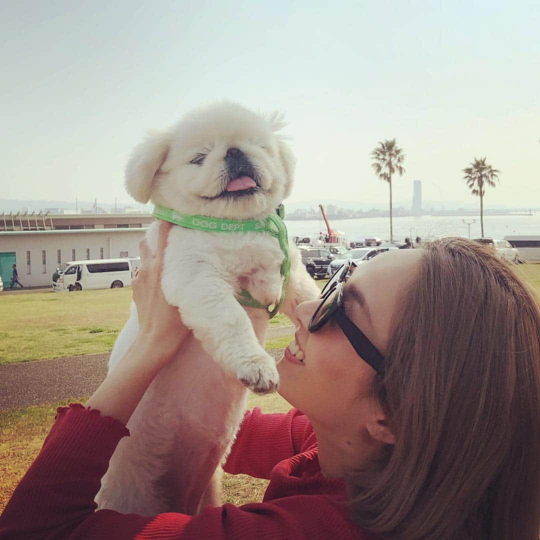 こなつのインスタグラム：「もふもふの休日🐶🌴🚗🐾🌈 お外でゴロゴロさいこーにーず🥳」