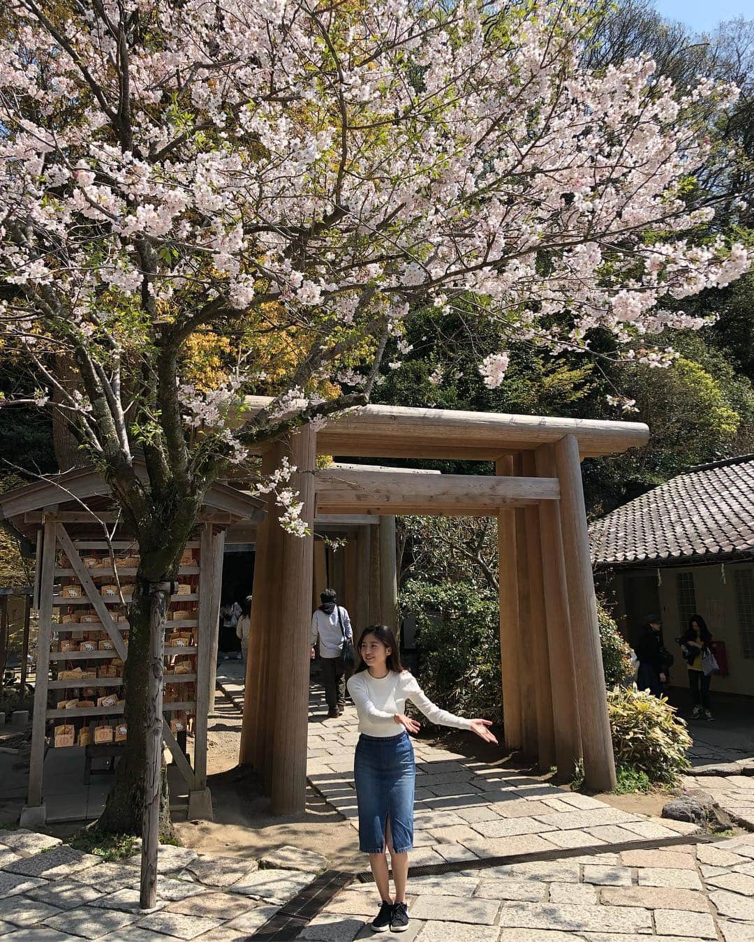 上野優花さんのインスタグラム写真 - (上野優花Instagram)「鎌倉の神社巡り🌸 まずは⛩銭洗弁財天 宇賀福神社⛩ 連なる木の鳥居と桜のコラボが素敵でした😊✨ 境内は広くてアミューズメント的要素が強いけど、 とても気は良くて、癒しの空間🌱 主祭神はイチキシマヒメノミコトで、 水や芸事の女神様です🙏 この神様についてはちょっと長くなるので 今度アメブロに書きます🤣 ⁑ 境内の洞窟にあるお水でお金を洗うと 金運がアップするそう💴 ⁑ 最後の写真は、 どうぞお通りくださいと伝えてる時の図。笑 #春の鎌倉旅 #鎌倉観光 #ワセジョ旅 #私の参拝日記」4月8日 23時05分 - yuka_ueno89
