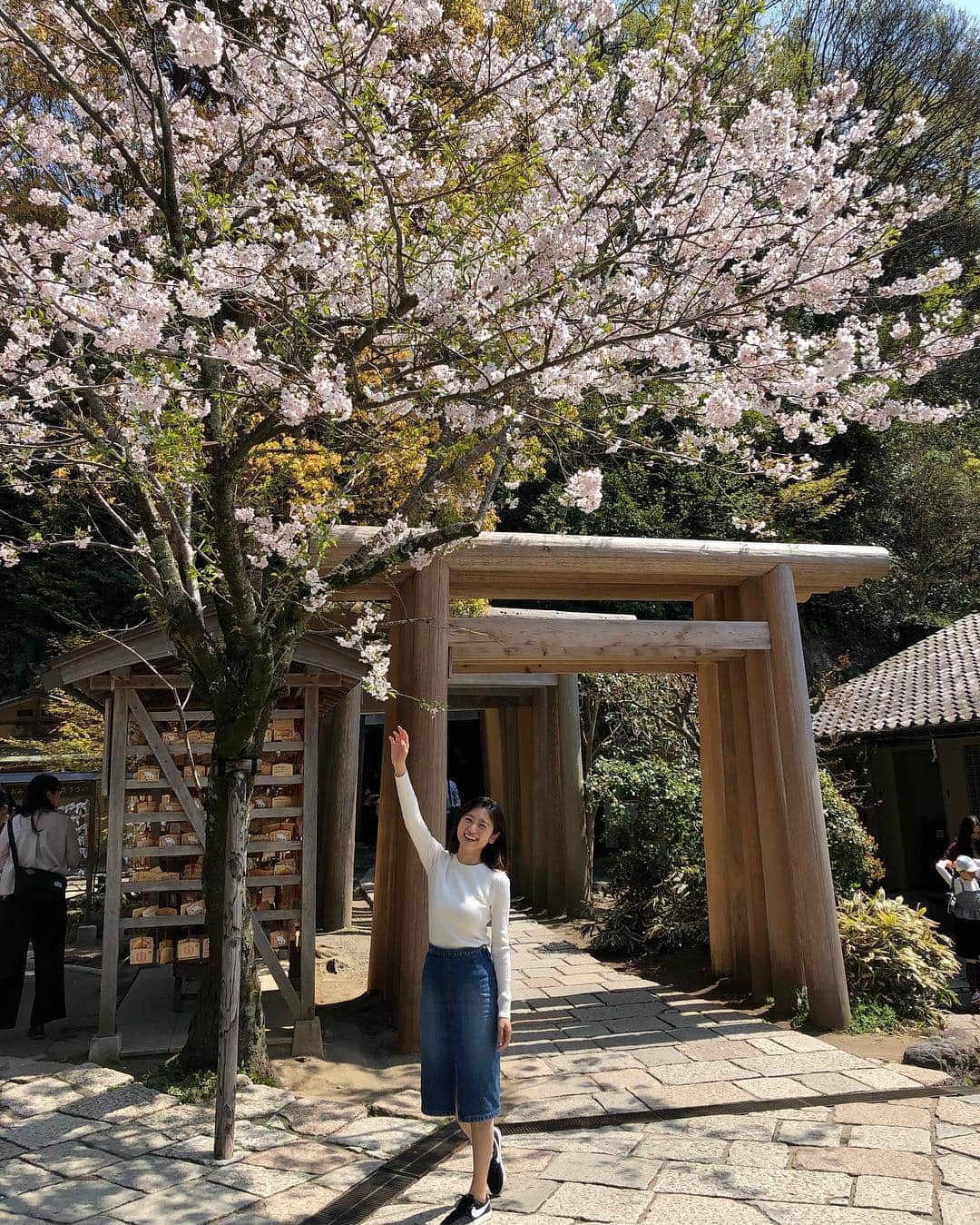 上野優花さんのインスタグラム写真 - (上野優花Instagram)「鎌倉の神社巡り🌸 まずは⛩銭洗弁財天 宇賀福神社⛩ 連なる木の鳥居と桜のコラボが素敵でした😊✨ 境内は広くてアミューズメント的要素が強いけど、 とても気は良くて、癒しの空間🌱 主祭神はイチキシマヒメノミコトで、 水や芸事の女神様です🙏 この神様についてはちょっと長くなるので 今度アメブロに書きます🤣 ⁑ 境内の洞窟にあるお水でお金を洗うと 金運がアップするそう💴 ⁑ 最後の写真は、 どうぞお通りくださいと伝えてる時の図。笑 #春の鎌倉旅 #鎌倉観光 #ワセジョ旅 #私の参拝日記」4月8日 23時05分 - yuka_ueno89