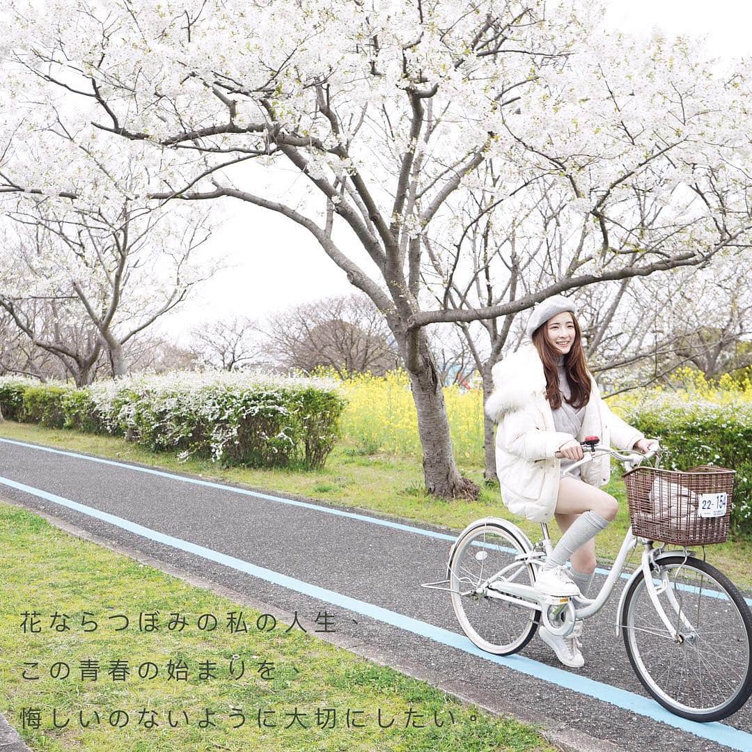 Giann Chanさんのインスタグラム写真 - (Giann ChanInstagram)「拍這張照片 心裡要不斷唸 ： 我正在拍日劇  我正在拍日劇 我正在拍日劇 。。。 #ドラマ #自転車のある風景 . #桜 #Fukuoka #ctytravelmap  #福岡 #Kyushu #お花見 #撮影」4月8日 23時08分 - chan.tsz.ying