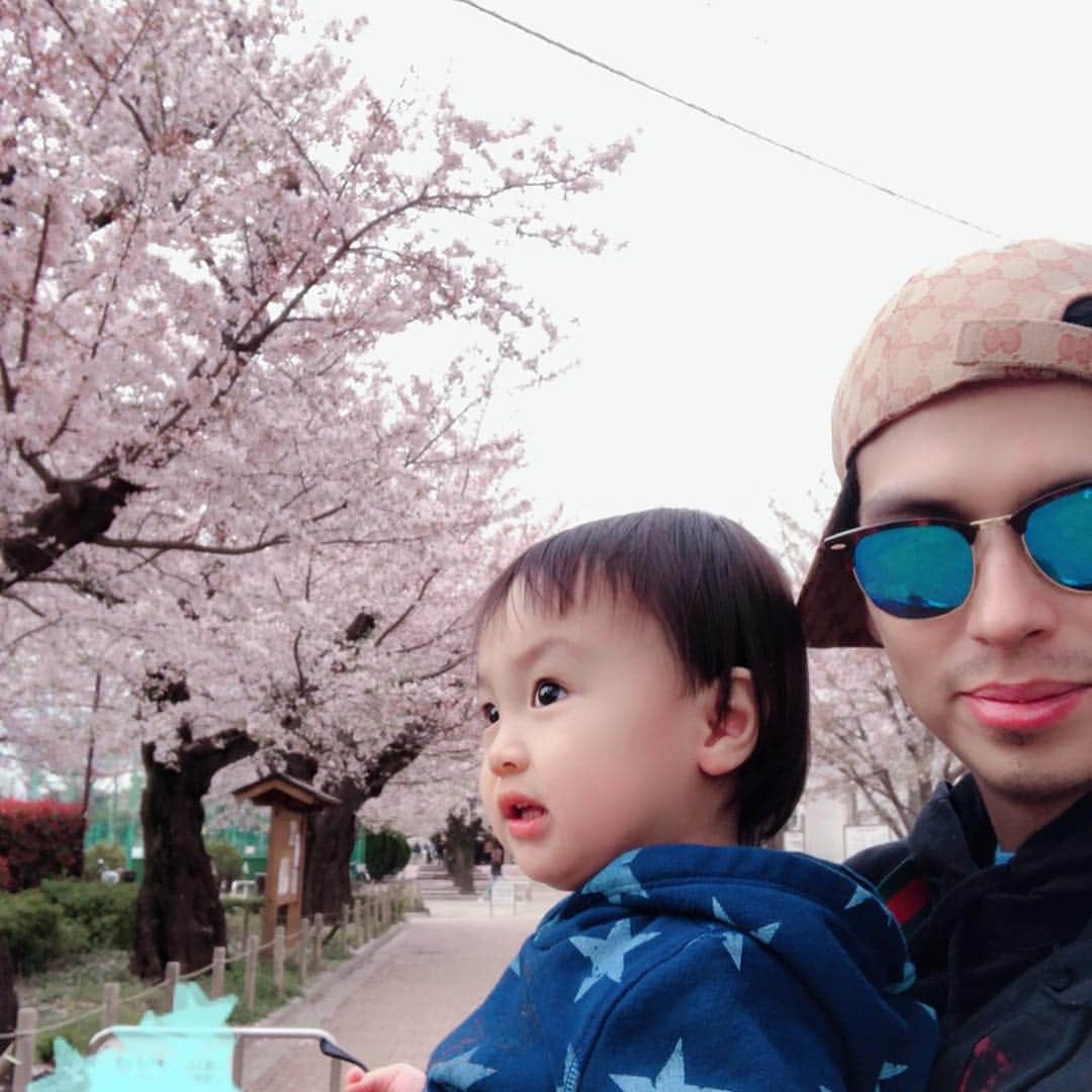アレクサンダーさんのインスタグラム写真 - (アレクサンダーInstagram)「今日もおちびと桜🌸みて来たよ のんちゃんは撮影してたからね #桜 #赤ちゃん  #おちびーぬ  #nino  #bonitn #sakura #japon #japan #tokyo」4月8日 23時12分 - alexanderfriends
