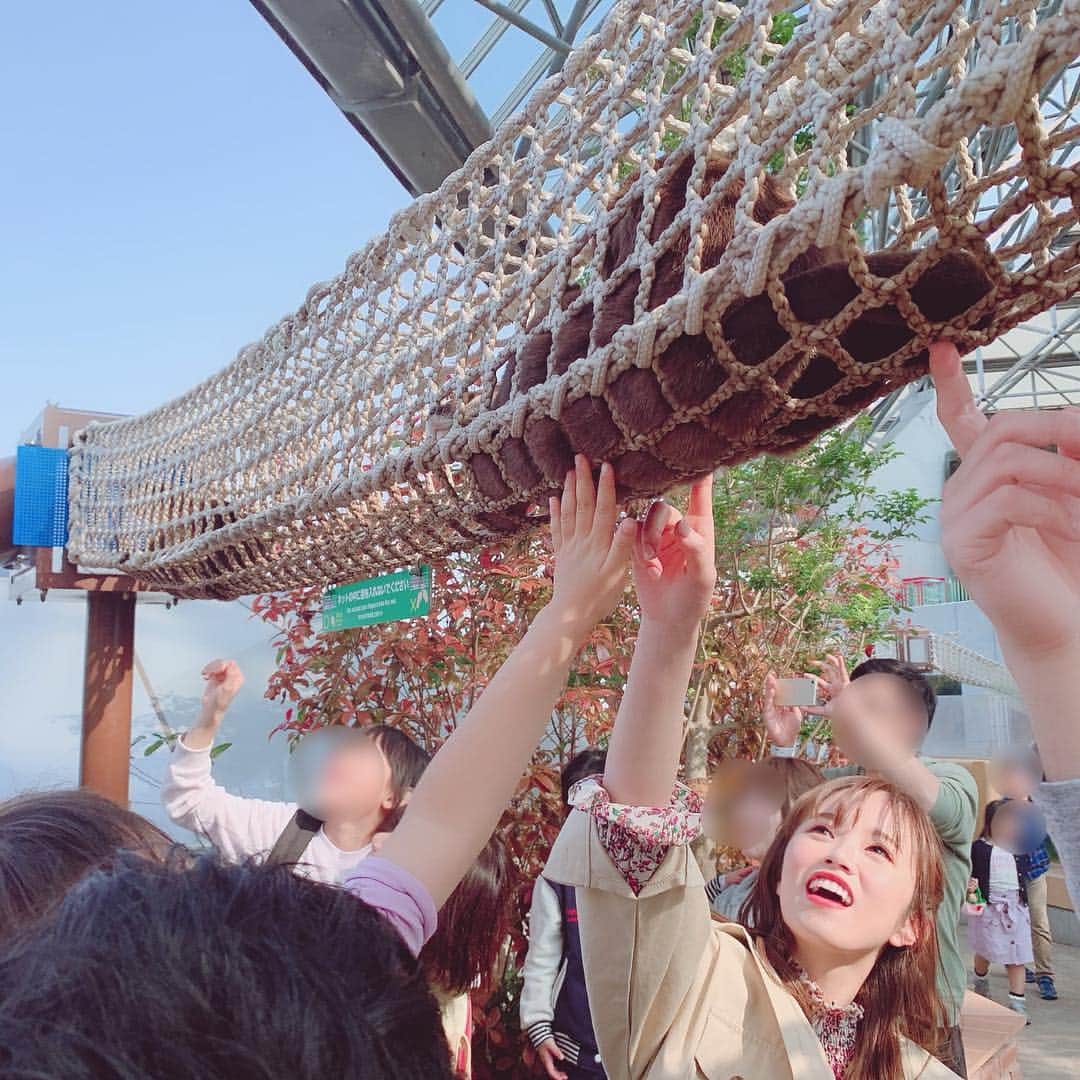 飯野雅さんのインスタグラム写真 - (飯野雅Instagram)「カワウソ💖握手と餌あげもしたよ💖 #カワウソ」4月8日 23時16分 - biichan_