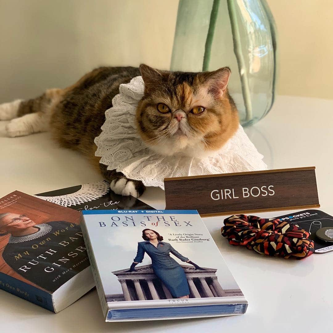 Tinaのインスタグラム：「We received the best package of RBG inspired stuff to celebrate the release of @onthebasisofsex, available now on Digital and Movies Anywhere and on Blu-ray, DVD and On Demand ‪April 9. ‬#OnTheBasisOfSex  Wheezy is showing off her new lace collar in front of her GirlBoss nameplate...Watch out George! Swipe to see Wheezy in full Queen mode! 😹🙌🏻 👑」