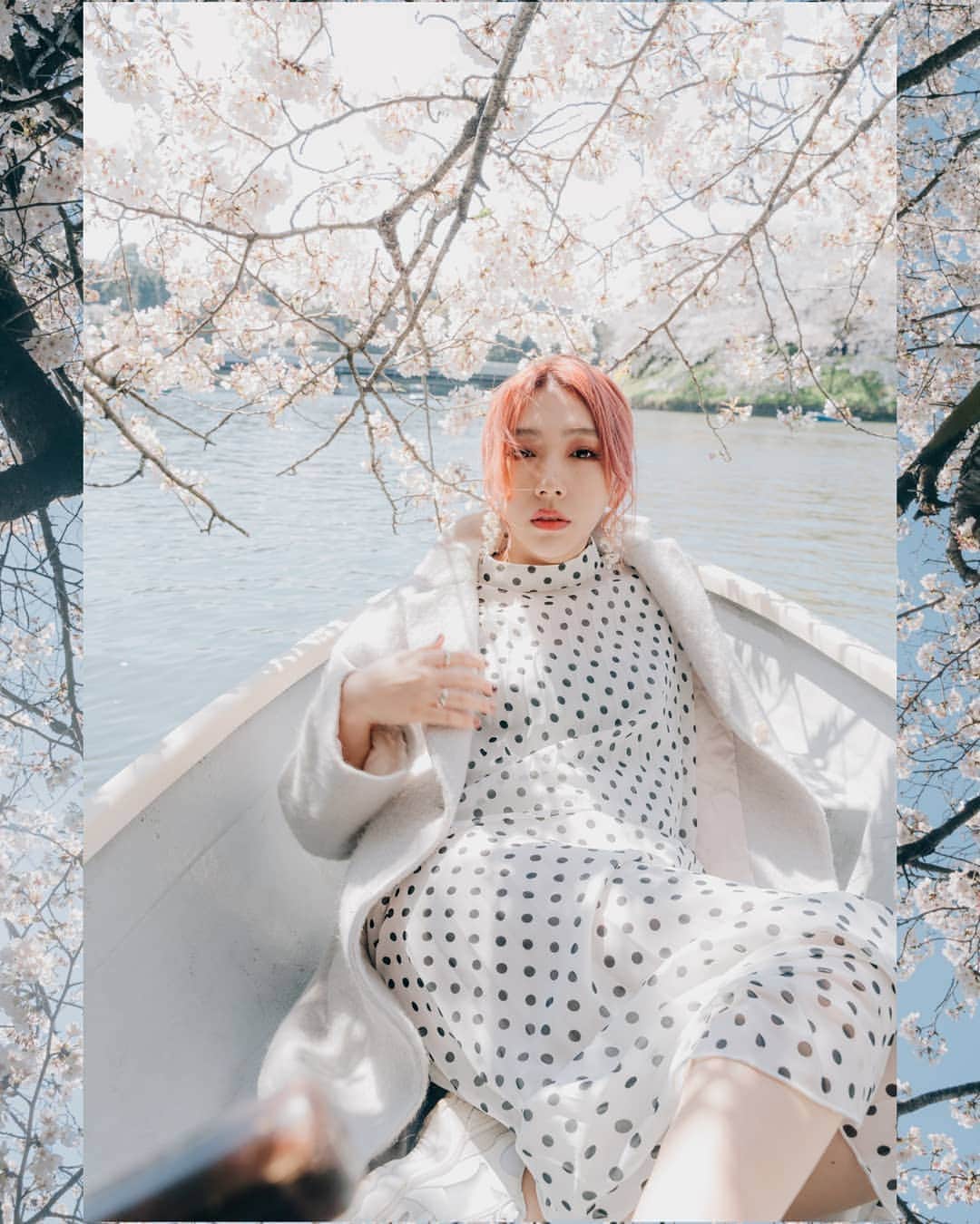 貴愛kwiae Officialのインスタグラム：「生きてるうちに﻿ あと何回桜を見れるかなぁ🌸😌💋﻿ ﻿ ﻿ 桜がヒラヒラ舞って﻿ 散っていくけど﻿ 新しい季節が待ってるね🐣。﻿ ﻿ 🌸﻿ ﻿ Photo @joyloustokyo﻿ ﻿ ﻿ 🌸﻿ #sakura #cherryblossom #桜」