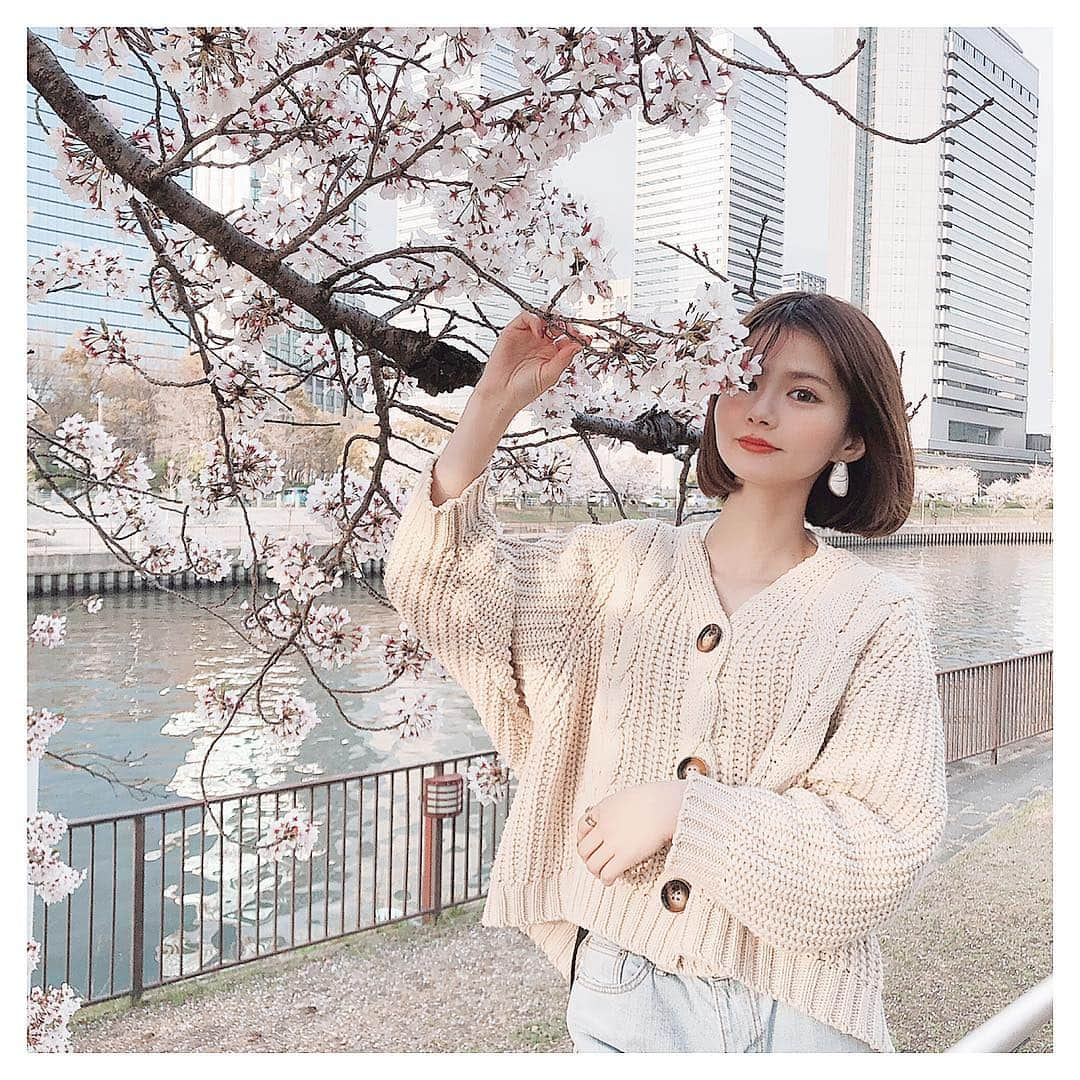 MISAさんのインスタグラム写真 - (MISAInstagram)「ㅤㅤㅤㅤㅤㅤㅤㅤㅤㅤㅤㅤㅤ ㅤㅤㅤㅤㅤㅤㅤㅤㅤㅤㅤㅤㅤ お花見🌸 陽はあったかかったけど風強くて 結構寒かったよ😂😂楽しかったすぎたな〜😫❤︎ ㅤㅤㅤㅤㅤㅤㅤㅤㅤㅤㅤㅤㅤ」4月8日 23時43分 - chatae._