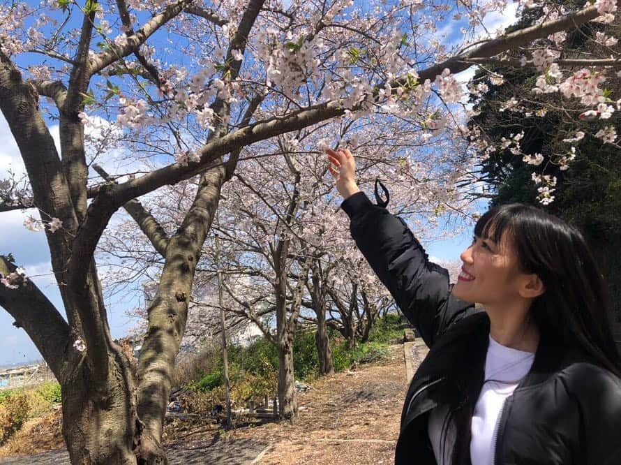高城れにさんのインスタグラム写真 - (高城れにInstagram)「4月ですね！ 今年は桜をたくさん見れた🌸 幸せな春の幕開け♡ 4月も楽しもうね😊💜 #4月 #桜 #花見」4月8日 23時47分 - takagireni_official