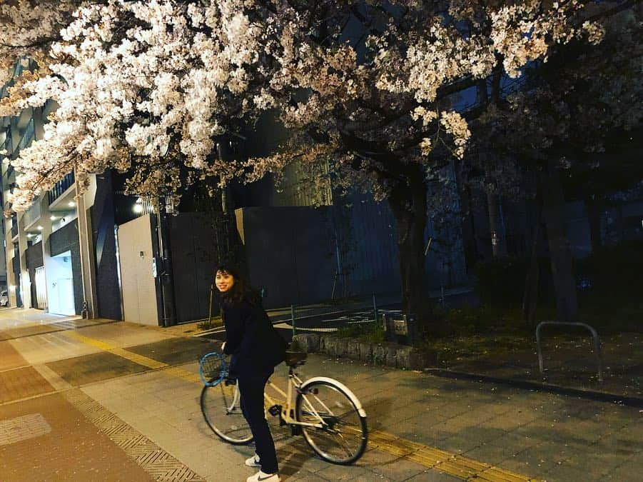 高樹リサさんのインスタグラム写真 - (高樹リサInstagram)「毎日桜をみてはほんわかする日々🌸 散歩が楽しい近頃。 今夜は風が強いからなぁ。まだまだ桜の季節楽しみたい🦐」4月8日 23時51分 - lisalisa_takagi