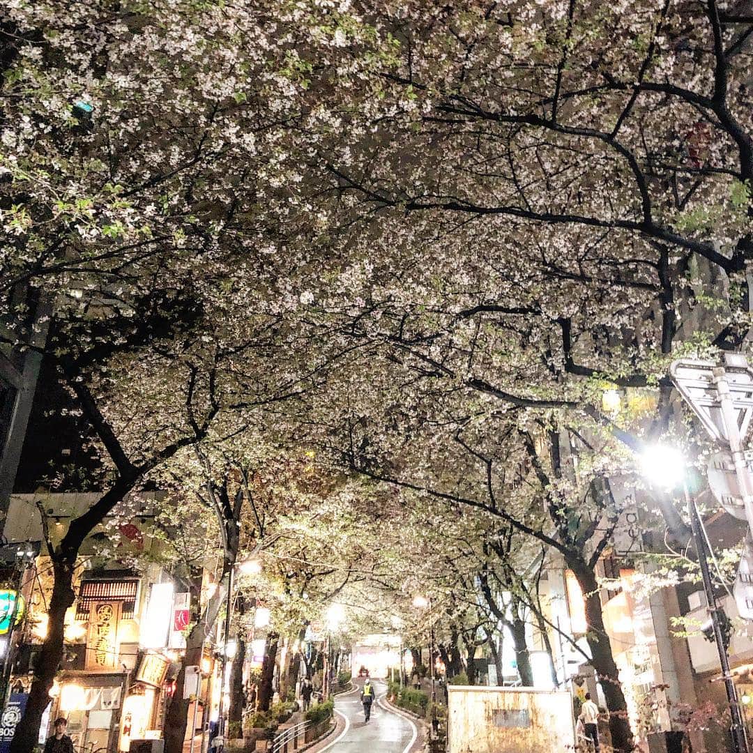 マキ・コニクソンさんのインスタグラム写真 - (マキ・コニクソンInstagram)「ナナと別れた後、 桜を観に一人で街をブラブラ。 なんだか名残惜しくて… 東京からお休みなさい。🌙 #夜桜のおすそ分け🌝🌸 #まだまだ桜が綺麗だよ #桜が散っちゃうのが寂しくて…」4月8日 23時52分 - makikonikson