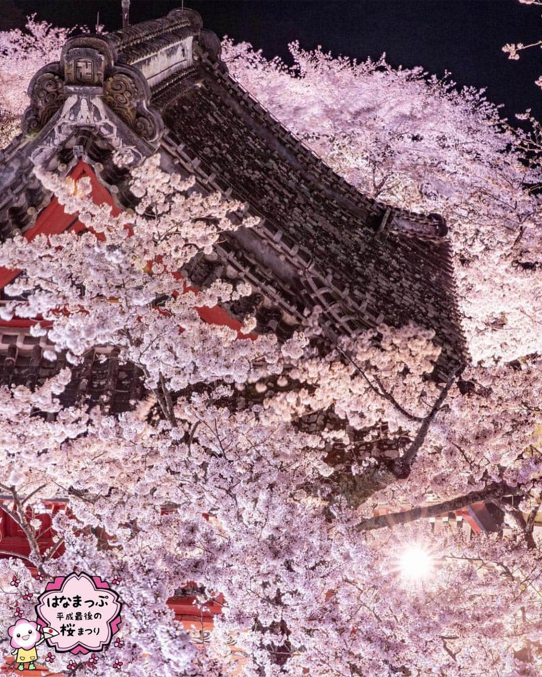 はなまっぷ❁日本の花風景さんのインスタグラム写真 - (はなまっぷ❁日本の花風景Instagram)「🍃🌸はなまっぷ平成最後の桜まつり🌸🍃 * @pudding39 さんの 平成の桜に花まるを💮 * 平成を彩る日本の美しい桜をありがとうございます😊🌸🍃 * 茨城  #雨引観音  Amabiki Kannon, Ibaraki Pref. 茨城  #東蕗田天満社 Higashihukita-tenmansha, Ibaraki Pref. * 見頃を過ぎている場所もご紹介しています。 お出かけの際はHP等で最新の情報をご確認くださいね🙏🌸🍃 * 🌸•••🍃•••🌸•••🍃•••🌸•••🍃•••🌸 * 🌸桜まつり概要🌸 * 期間:平成最後の日まで タグ:#はなまっぷ * #はなまっぷ  のタグの中から、桜のお写真をどんどんご紹介させていただきます。期間中はランダムに、複数枚投稿でもご紹介させていただく場合がございます。 * #桜#sakura#花見#さくら#日本#春#花#平成最後の#満開#夜桜#夜景 * 🌸•••🍃•••🌸•••🍃•••🌸•••🍃•••🌸 * はなまっぷより * 💌LINEスタンプ「はなまっぷちゃん」絶賛発売中！みなさんのLINEにも花まるを💮 💌はなまっぷ本、Amazonや全国の書店さんで満開です！ぜひお手にとっていただけると嬉しいです🌸 * LINEスタンプ、はなまっぷ本は、プロフ欄記載のTwitterアカウントよりご確認ください。 * 🌸•••🍃•••🌸•••🍃•••🌸•••🍃•••🌸 *」4月8日 23時53分 - hanamap
