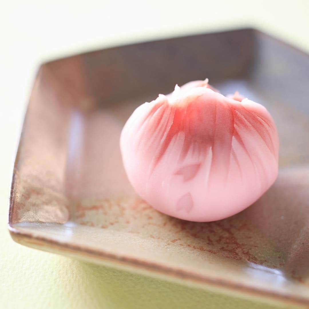 Toru Tsuchieのグルメインスタ