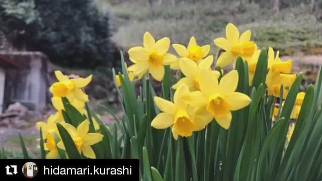 Gero City【下呂市公式アカウント】のインスタグラム
