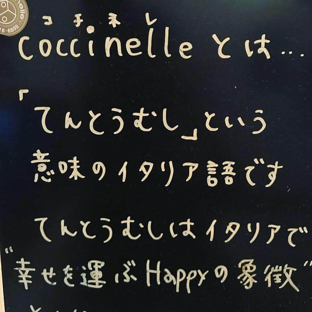 YoYoさんのインスタグラム写真 - (YoYoInstagram)「〜福岡グルメ編〜 センスが光る「コチネレ」の手作りおつまみはアタタカイ上ほんと美味しい♡飲んだ後に絶品担々麺でシメた夜はサイコー⭐️ 3月末から全然できてなかったお花見、福岡市内を歩く中で瞬間的にお花見できてラッキー🤞気持ち良いエリアだぁー。 「五二六」のウェルカムメッセージも嬉しく最高の打ち上げに♫焼き鳥他、Ah〜美味しくてまだゆっくり行きたいっ。公演へのお花、ありがとうございます！！！(MiST)  #コチネレ #お花見 #福岡 #春吉 #五二六 #MiST」4月9日 0時14分 - yoyo_soffet