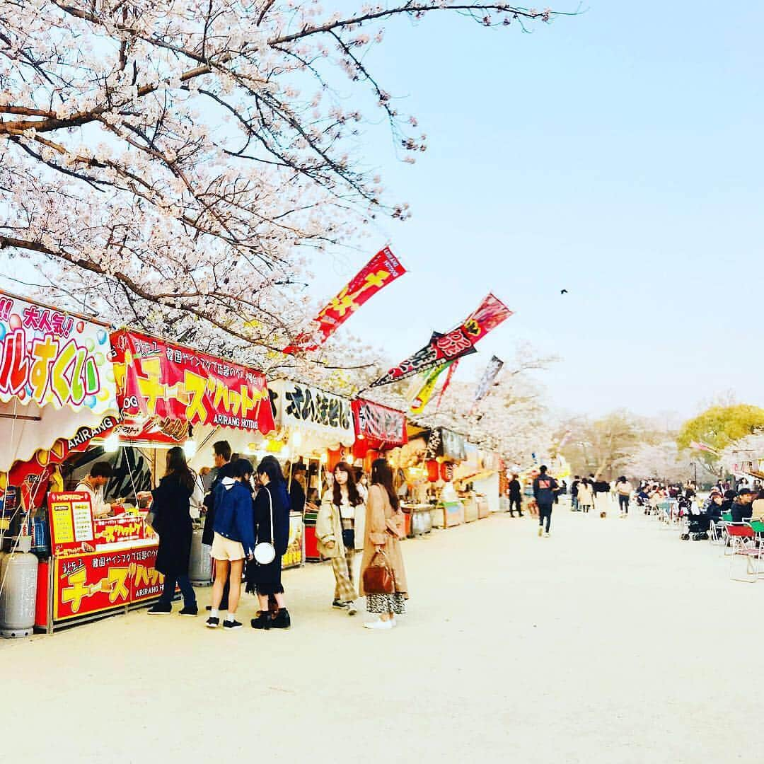 YoYoさんのインスタグラム写真 - (YoYoInstagram)「〜福岡グルメ編〜 センスが光る「コチネレ」の手作りおつまみはアタタカイ上ほんと美味しい♡飲んだ後に絶品担々麺でシメた夜はサイコー⭐️ 3月末から全然できてなかったお花見、福岡市内を歩く中で瞬間的にお花見できてラッキー🤞気持ち良いエリアだぁー。 「五二六」のウェルカムメッセージも嬉しく最高の打ち上げに♫焼き鳥他、Ah〜美味しくてまだゆっくり行きたいっ。公演へのお花、ありがとうございます！！！(MiST)  #コチネレ #お花見 #福岡 #春吉 #五二六 #MiST」4月9日 0時14分 - yoyo_soffet