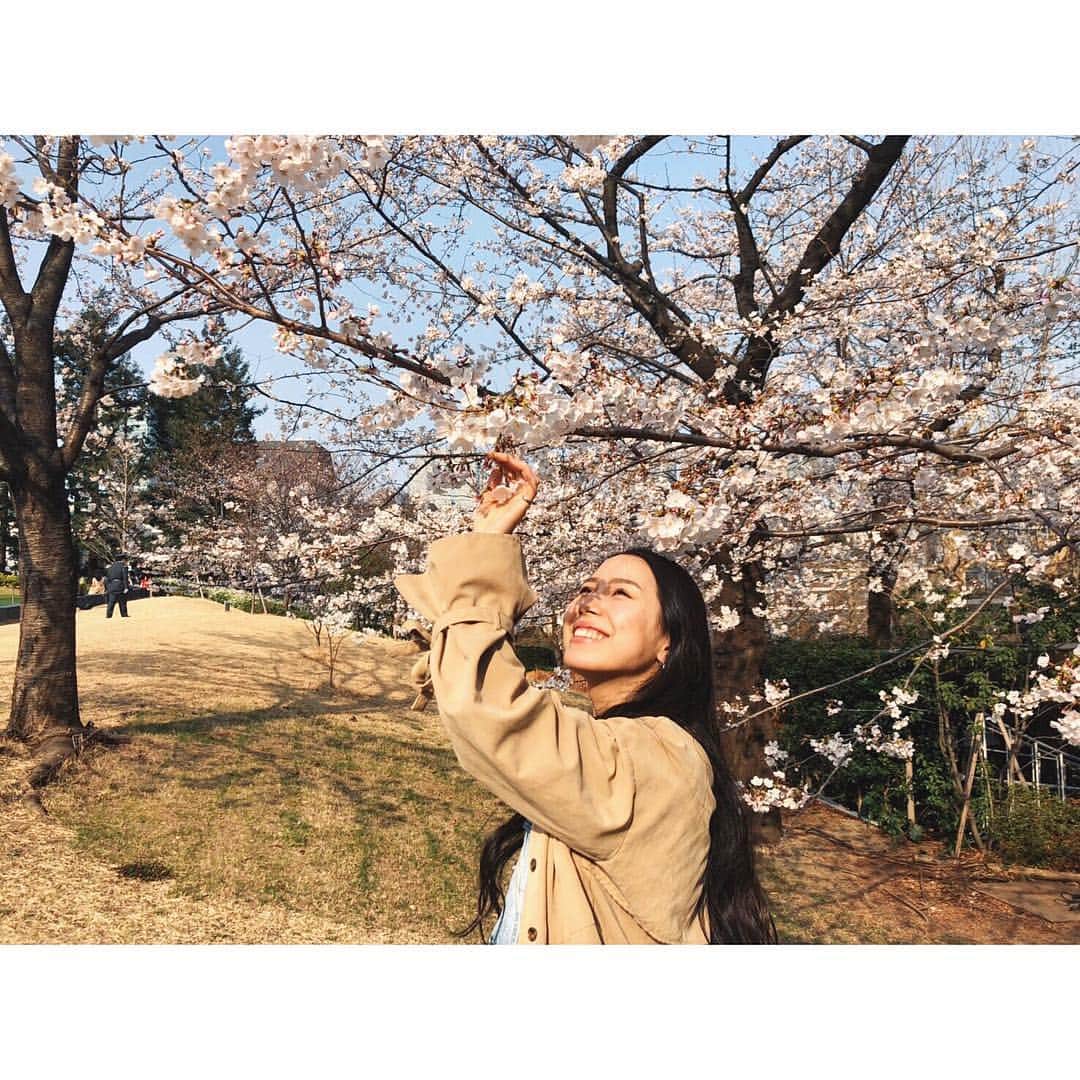 絹さんのインスタグラム写真 - (絹Instagram)「✔️🌸 . . 桜、今年も綺麗！ 早く半袖着たいの〜〜！ . . #桜」4月9日 0時23分 - 2828sowa