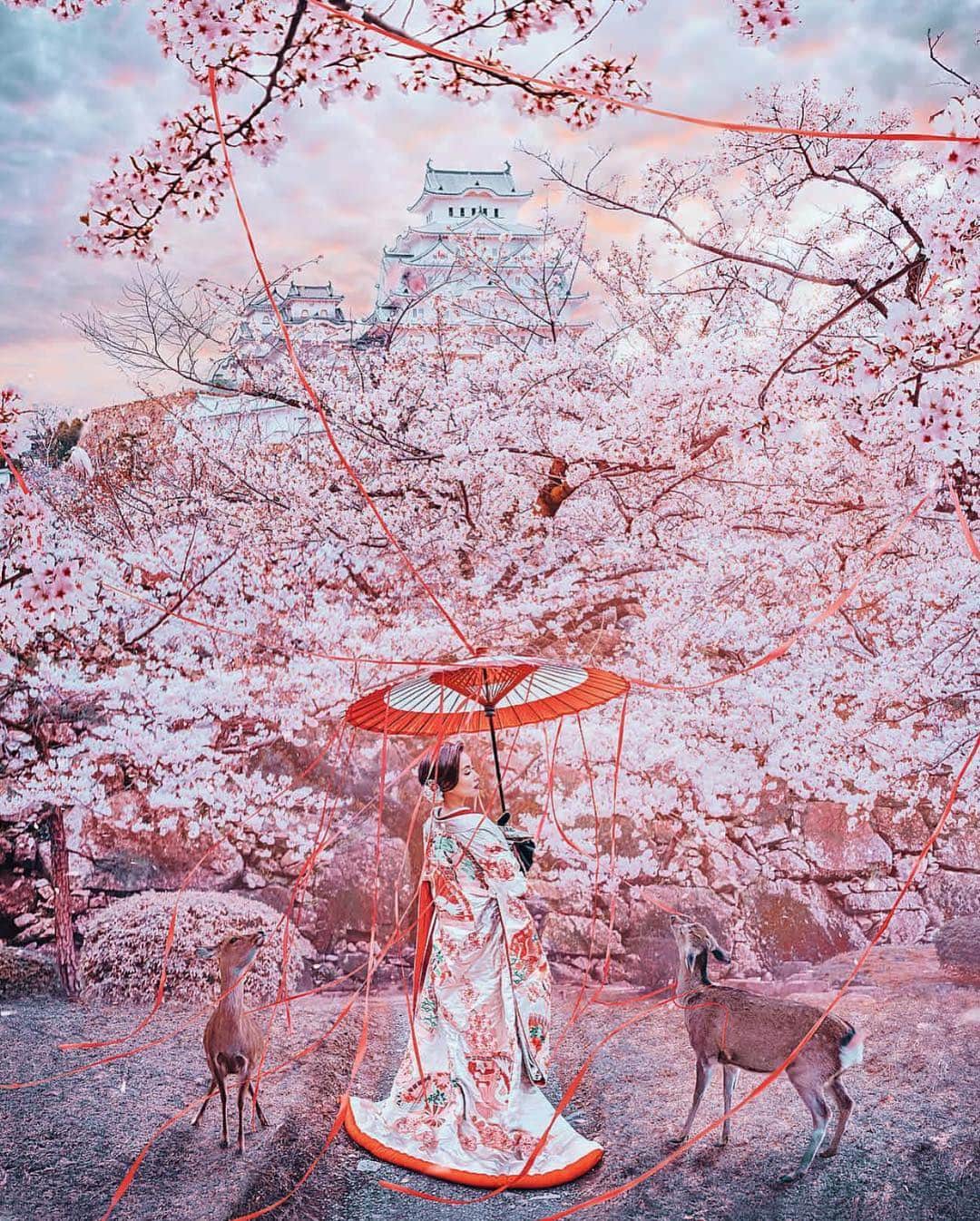 Wonderful Placesさんのインスタグラム写真 - (Wonderful PlacesInstagram)「Gorgeous cherry blossoms season in Japan ✨🌸🌸🌸✨ . Pictures by ✨✨@hobopeeba✨✨ #wonderful_places for a feature 💖」4月9日 0時23分 - wonderful_places