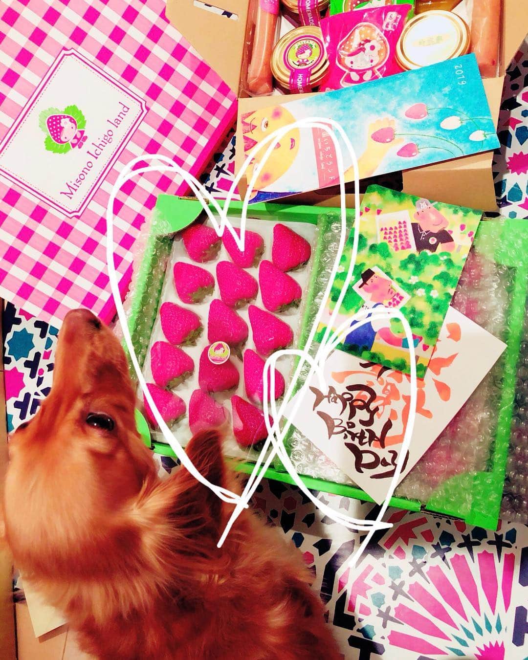 ゆうたむのグルメインスタ