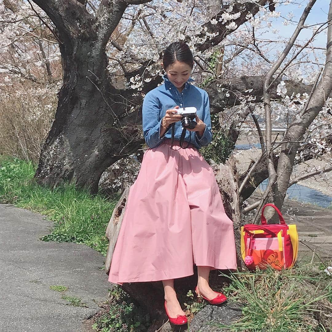 木本泉さんのインスタグラム写真 - (木本泉Instagram)「-﻿ 桂川の桜も満開🌸﻿ ﻿ 姪っ子と一緒に！﻿ ﻿ 今日から3年生🎒﻿ ﻿ #桜#春#満開#京都#桂川」4月8日 15時37分 - izumikimoto