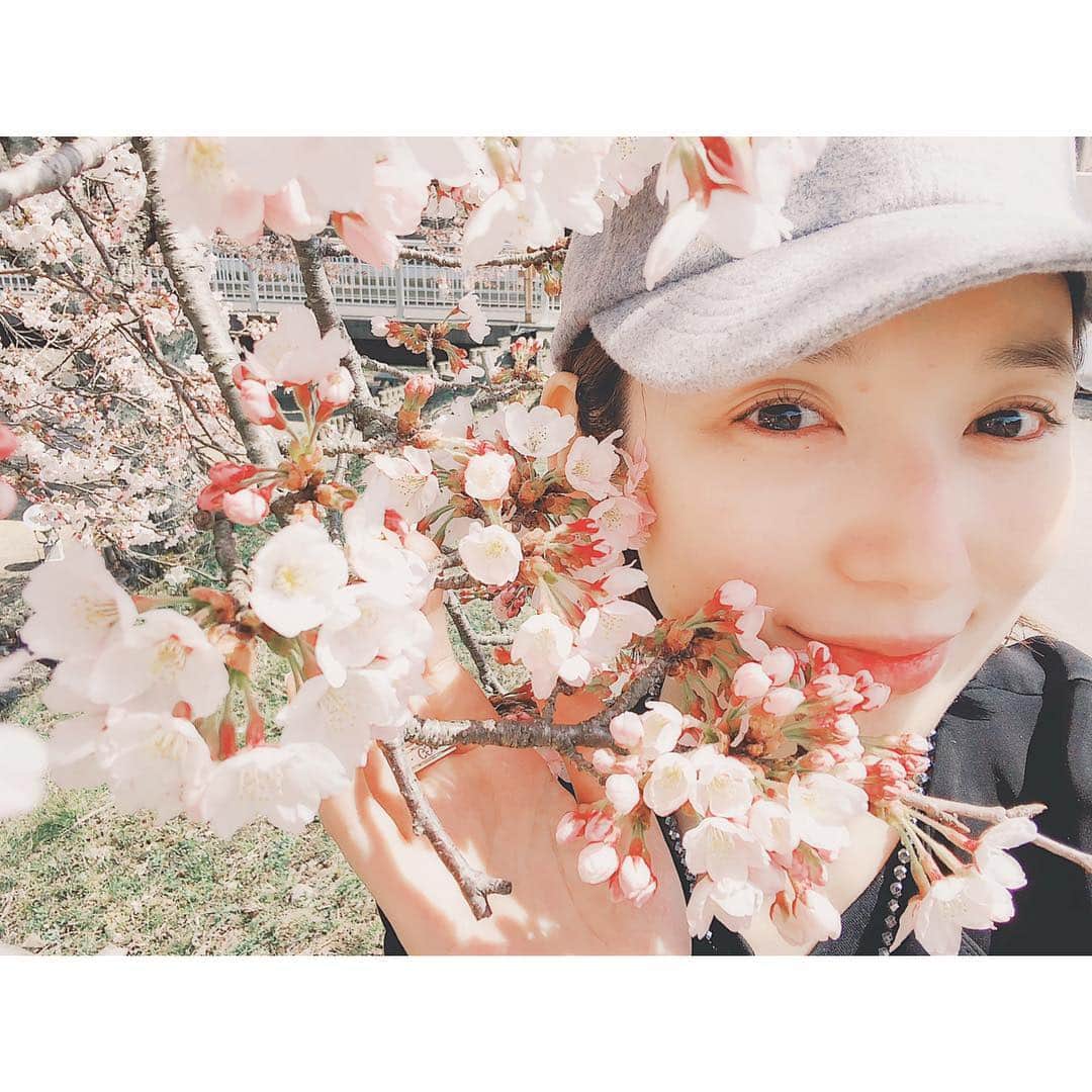 沙央くらまさんのインスタグラム写真 - (沙央くらまInstagram)「どこでも見かけたら🌸と撮ってしまいます。 こんなに近くに桜🌸  幸せ❤️ #沙央くらま #コマスタ #sakura #pinkblossom」4月8日 15時42分 - kurama_sao