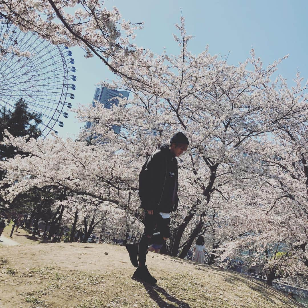 松尾光次さんのインスタグラム写真 - (松尾光次Instagram)「🌸🌸🌸」4月8日 15時43分 - koji_swanky_dank