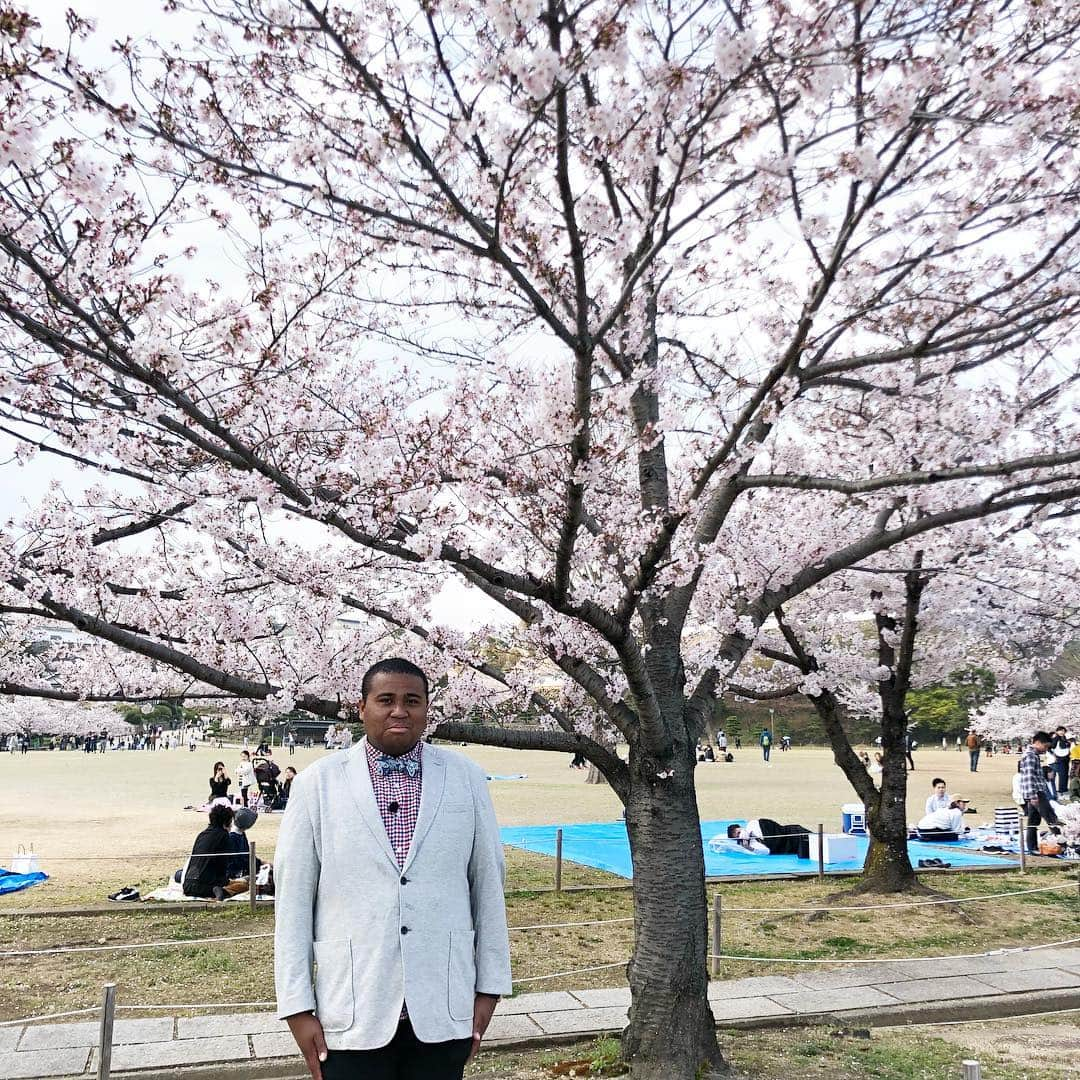 アントニーさんのインスタグラム写真 - (アントニーInstagram)「桜満開  #さくら #桜 #姫路城 #外国人観光客感」4月8日 15時47分 - anthonymatenroudayo