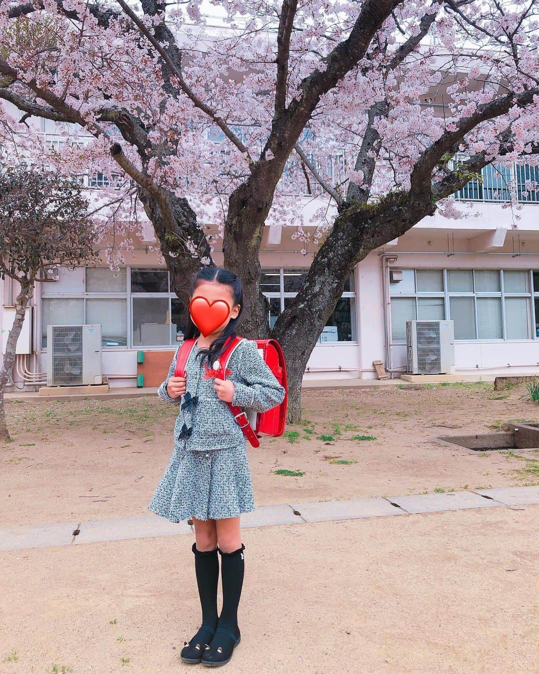 小畑由香里さんのインスタグラム写真 - (小畑由香里Instagram)「娘の入学式でした🌸 朝は若干の雨だったけど、桜の木の下で写真を撮ることができて良かった◡̈♥︎ ピカピカの真っ赤なランドセルのマジックなのか、昨日までの娘とは見違えるほどお姉さんに見えて…私もやっと実感が湧いたかな😆」4月8日 15時55分 - obata_yukari_official