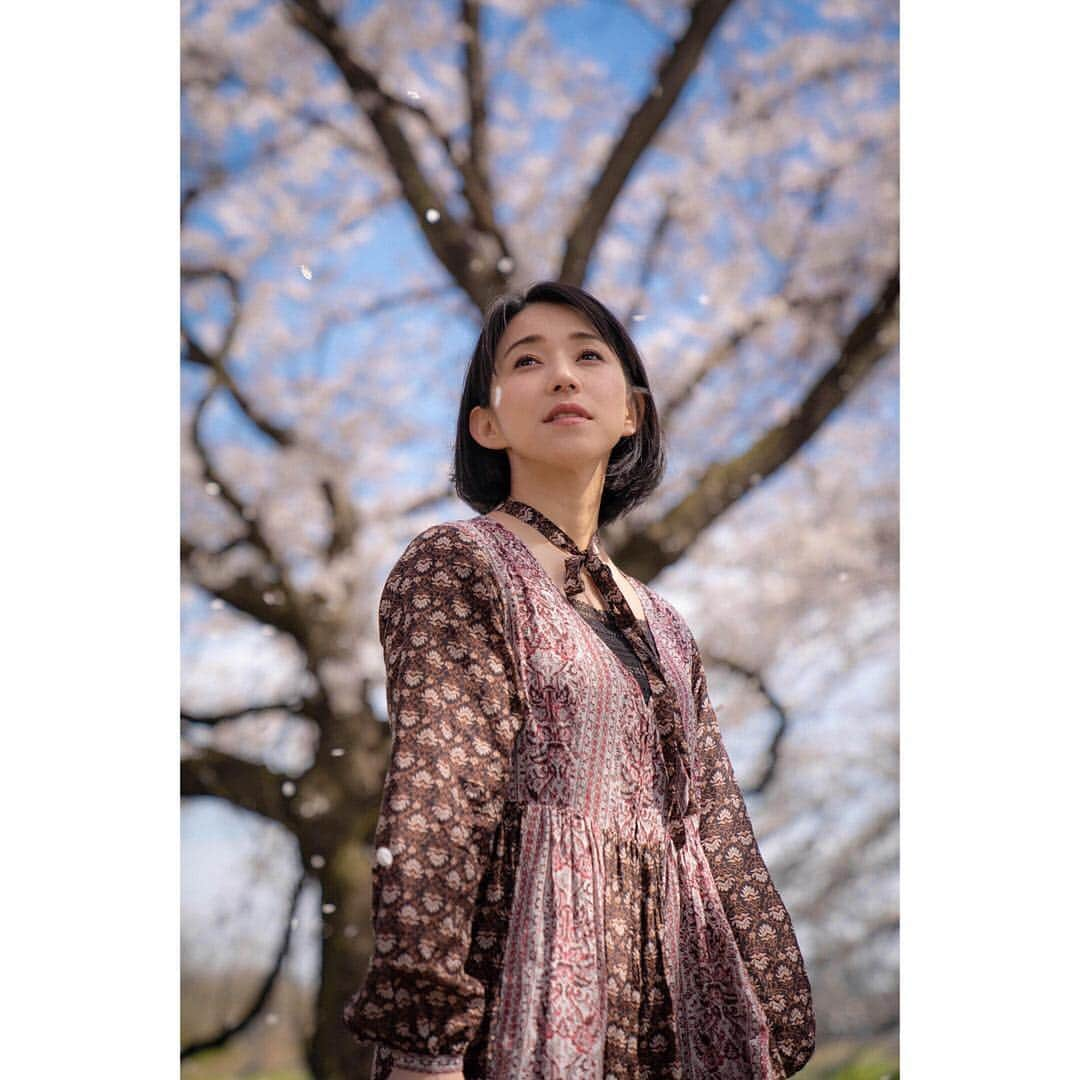 川田希さんのインスタグラム写真 - (川田希Instagram)「花びら、ひらひら。 🌸🌸🌸 . . . #桜 #さくら #cherryblossom #japan #tokyo #sakura #portrait #photography #写真好きな人と繋がりたい #花吹雪」4月8日 16時06分 - nozomikawata